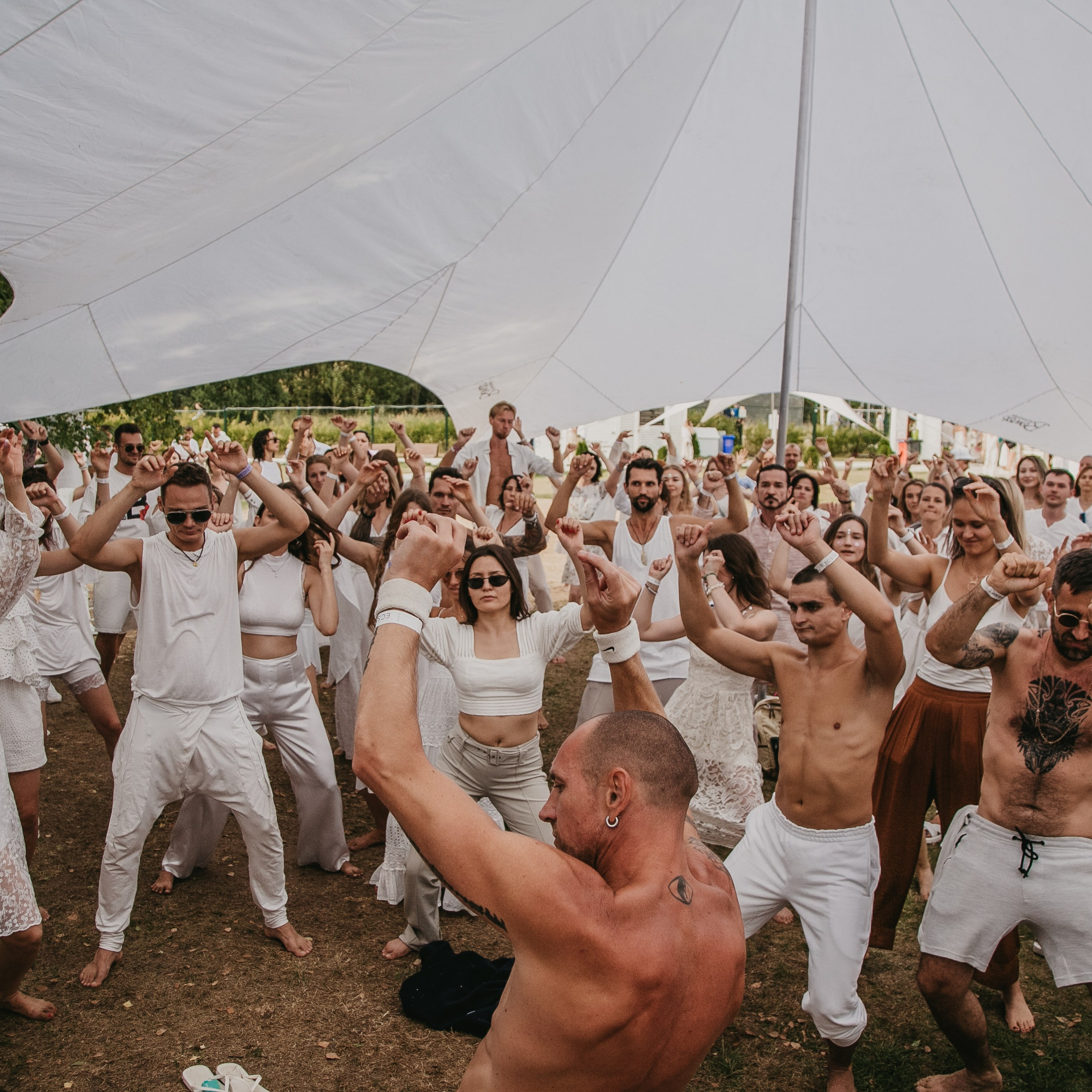 Ecstatic Sensation White в парке Берёзы