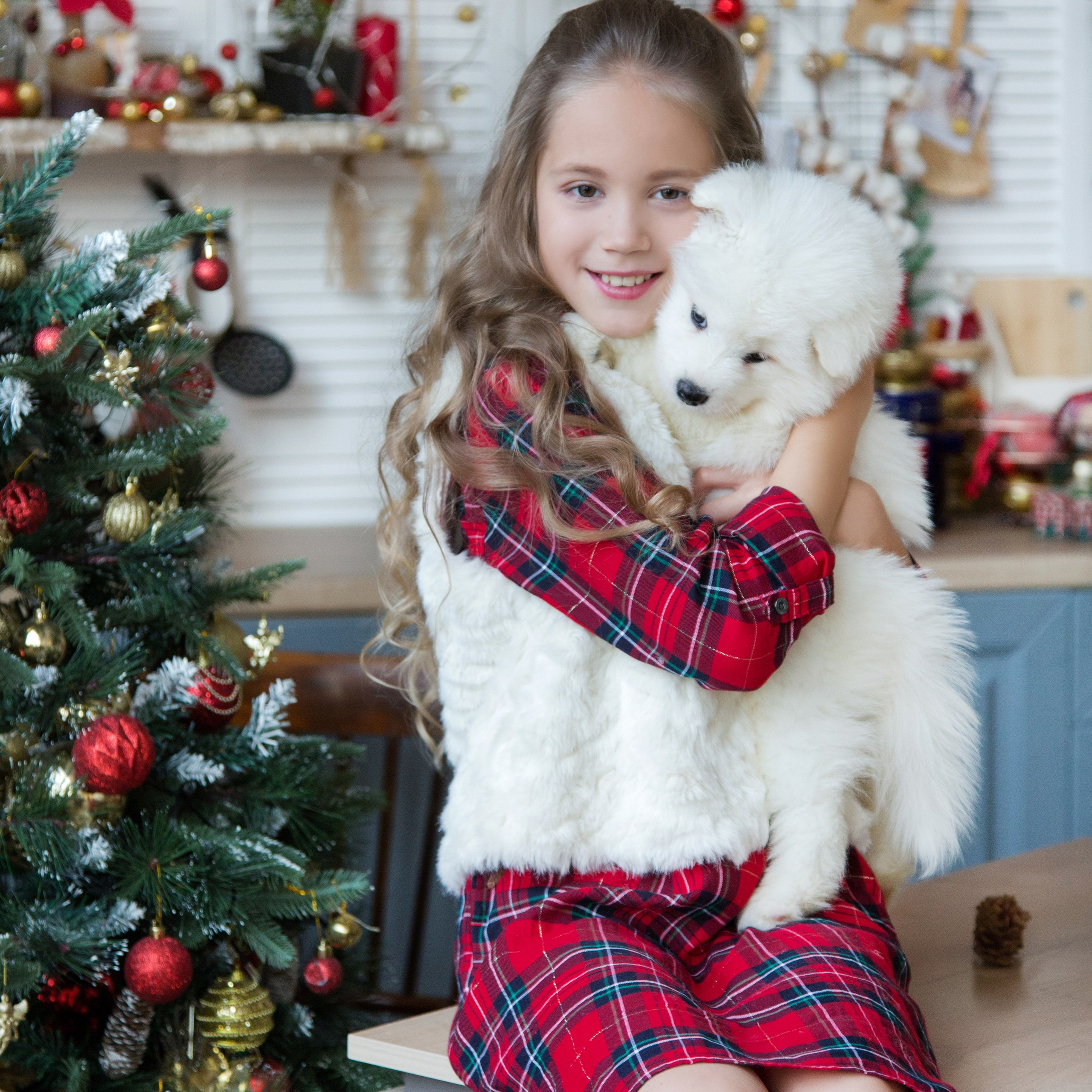 Новогодние съемки