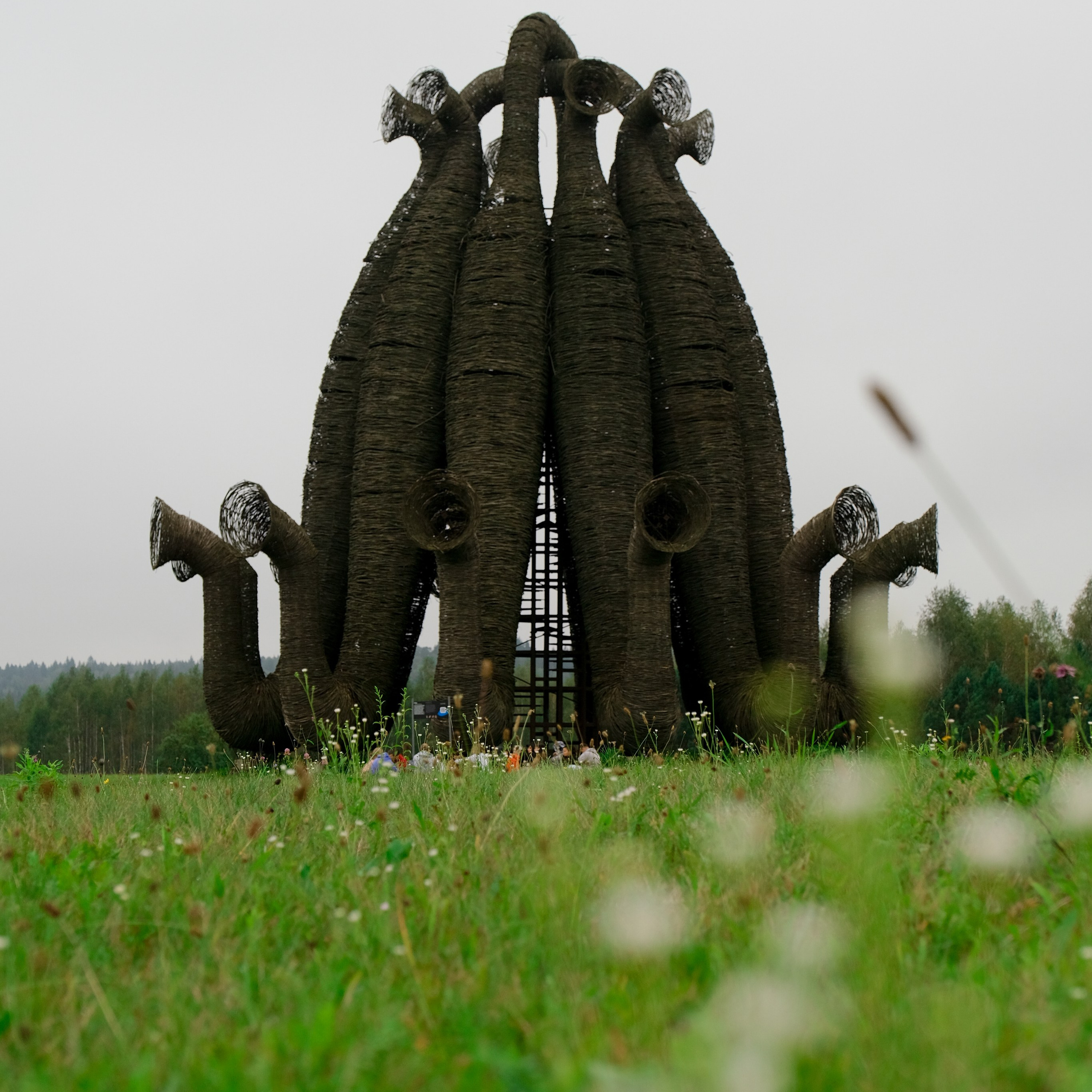 Rostelecom x Dedu Никола-Ленивец