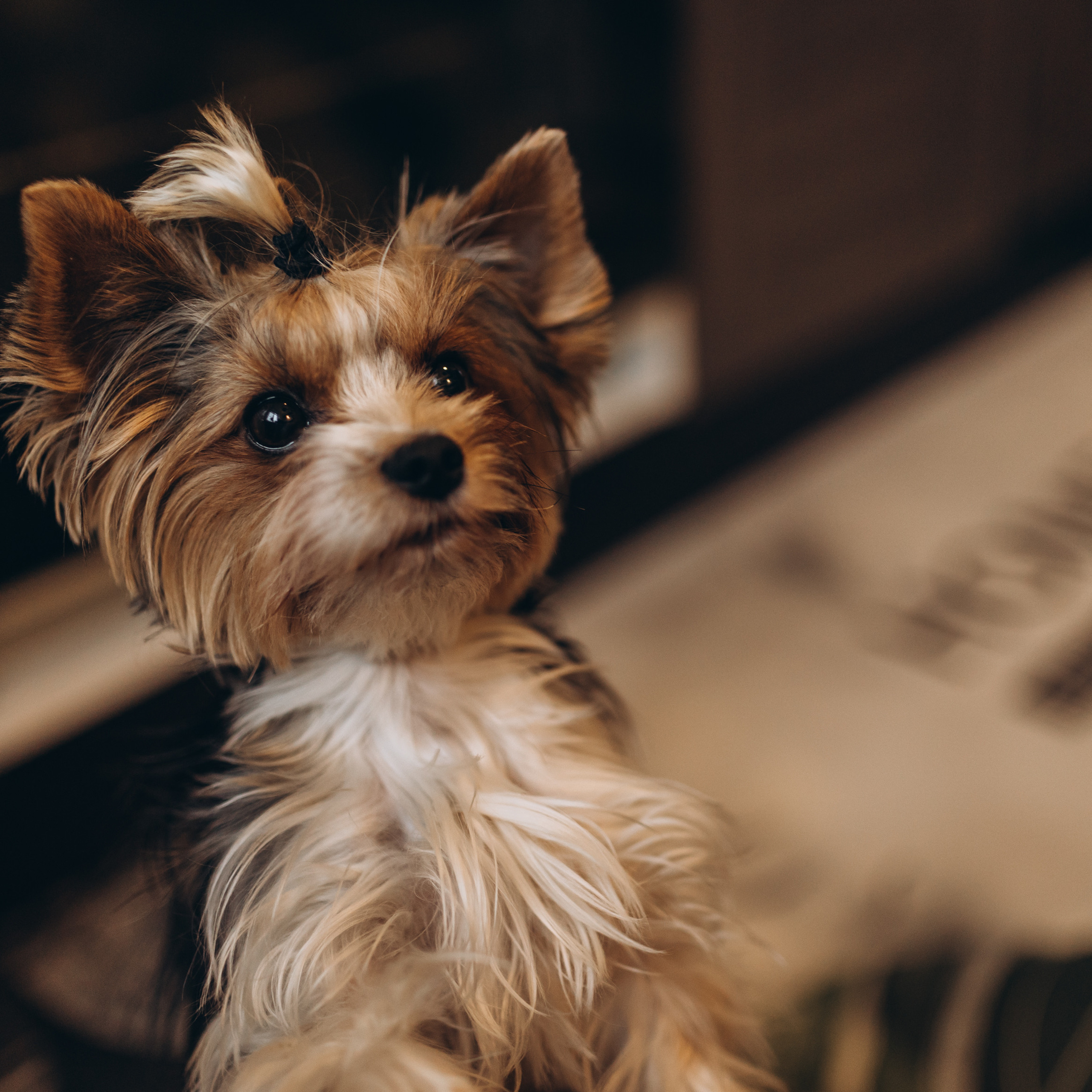 Отзывы. Семейный LIFESTYLE фотограф в Москве