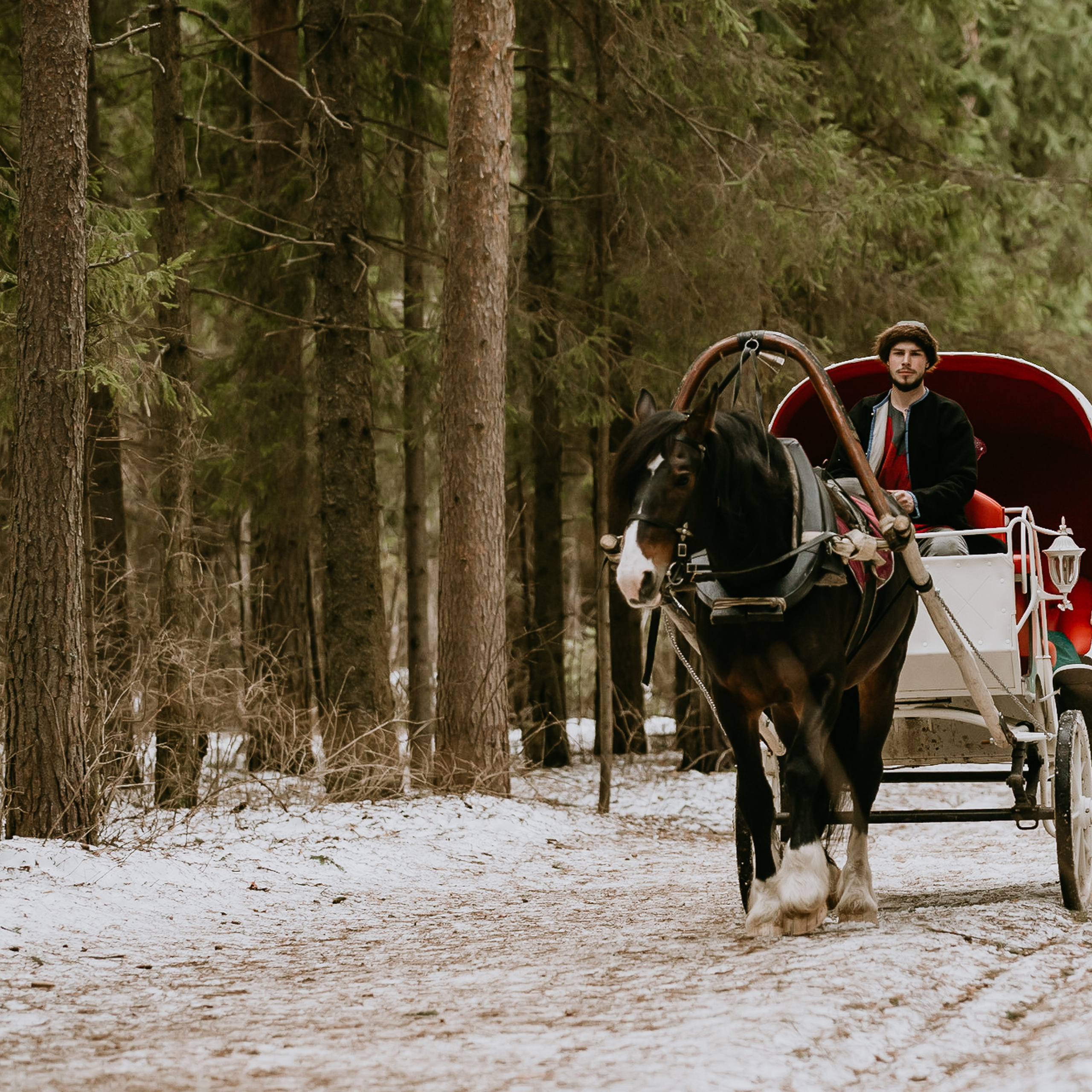 Отзывы. Фотограф событий Злобин Дмитрий