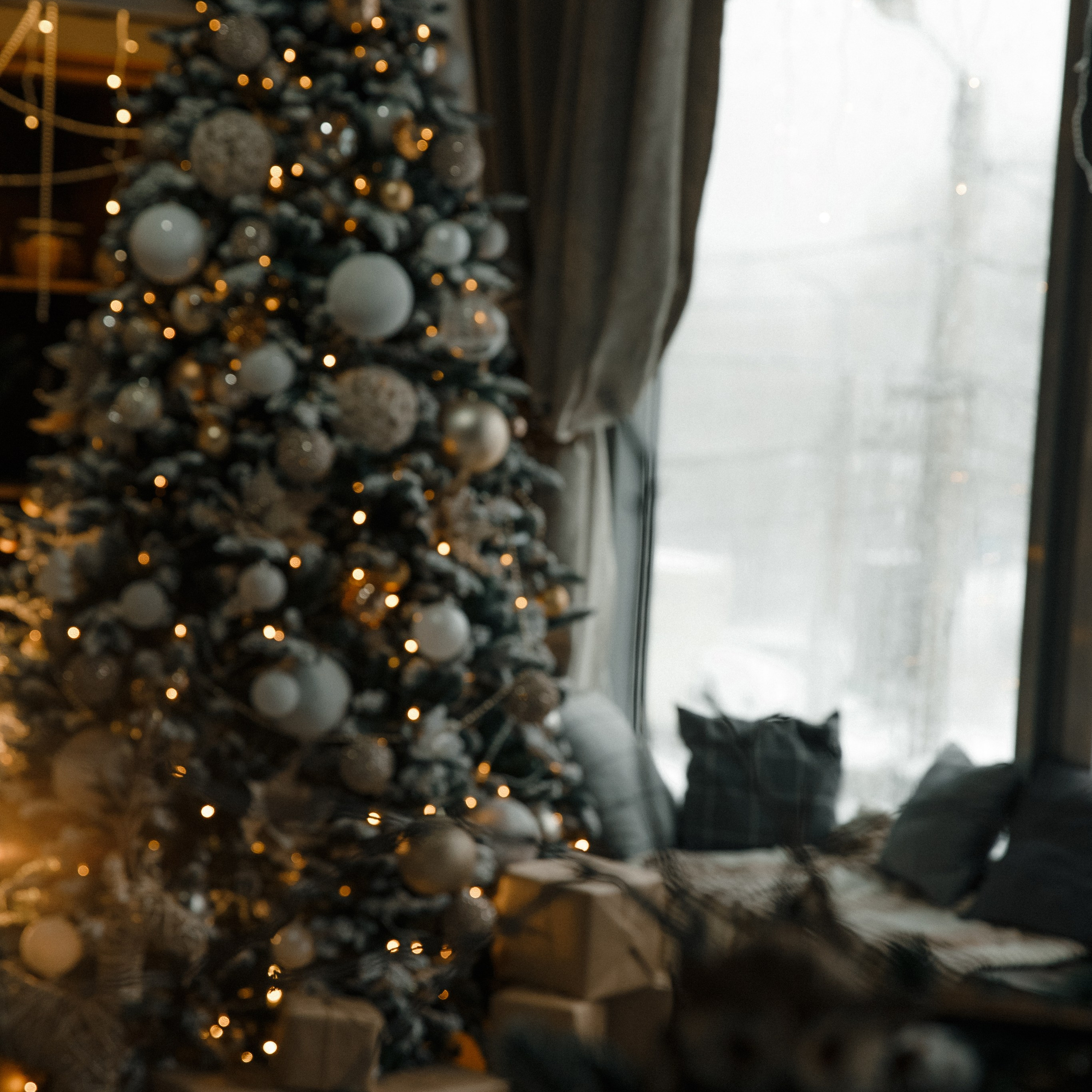 Отзывы. Свадебный и семейный фотограф в Саратове Виолетта Привалова