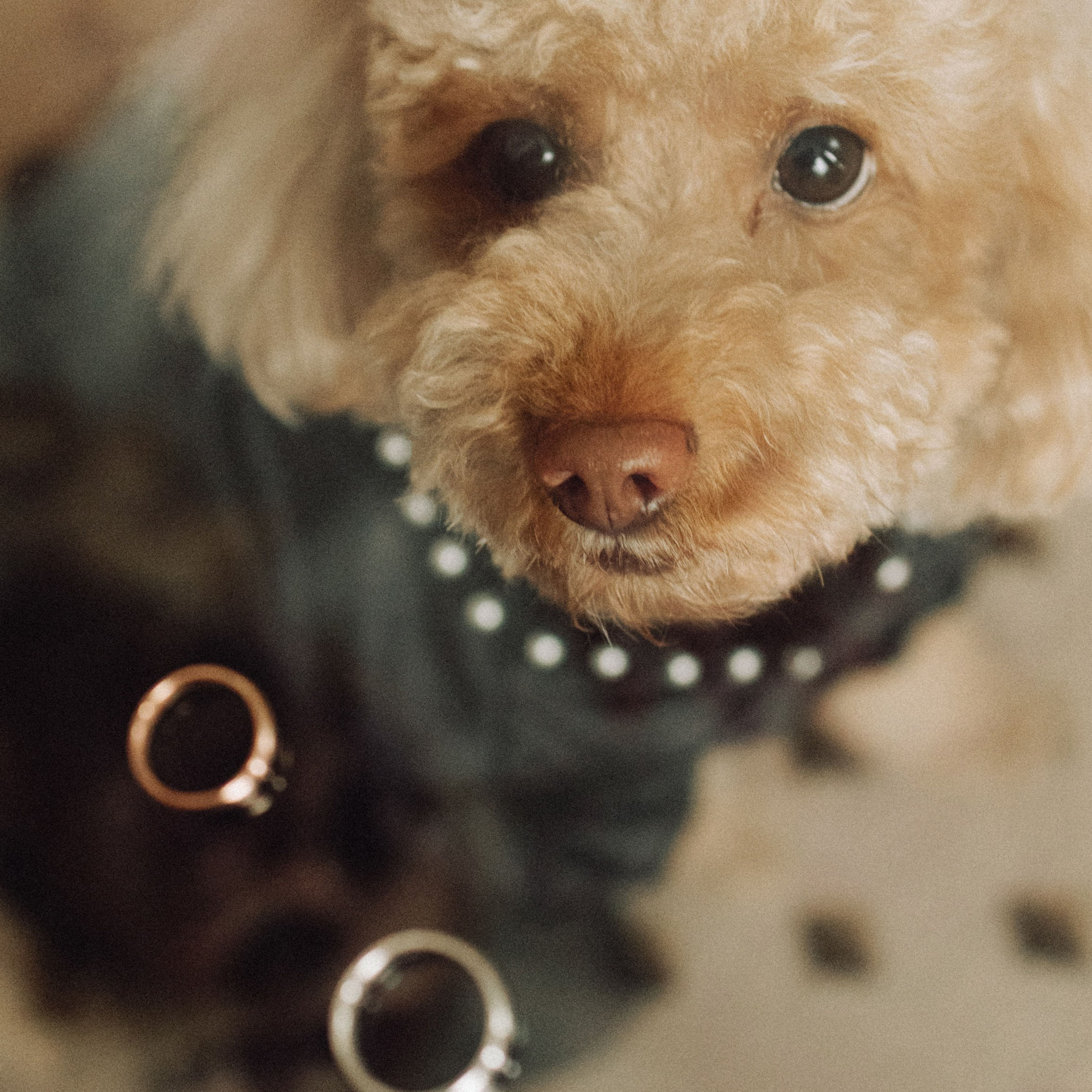 Этот концерт был посвящён им&nbsp;и&nbsp;только им