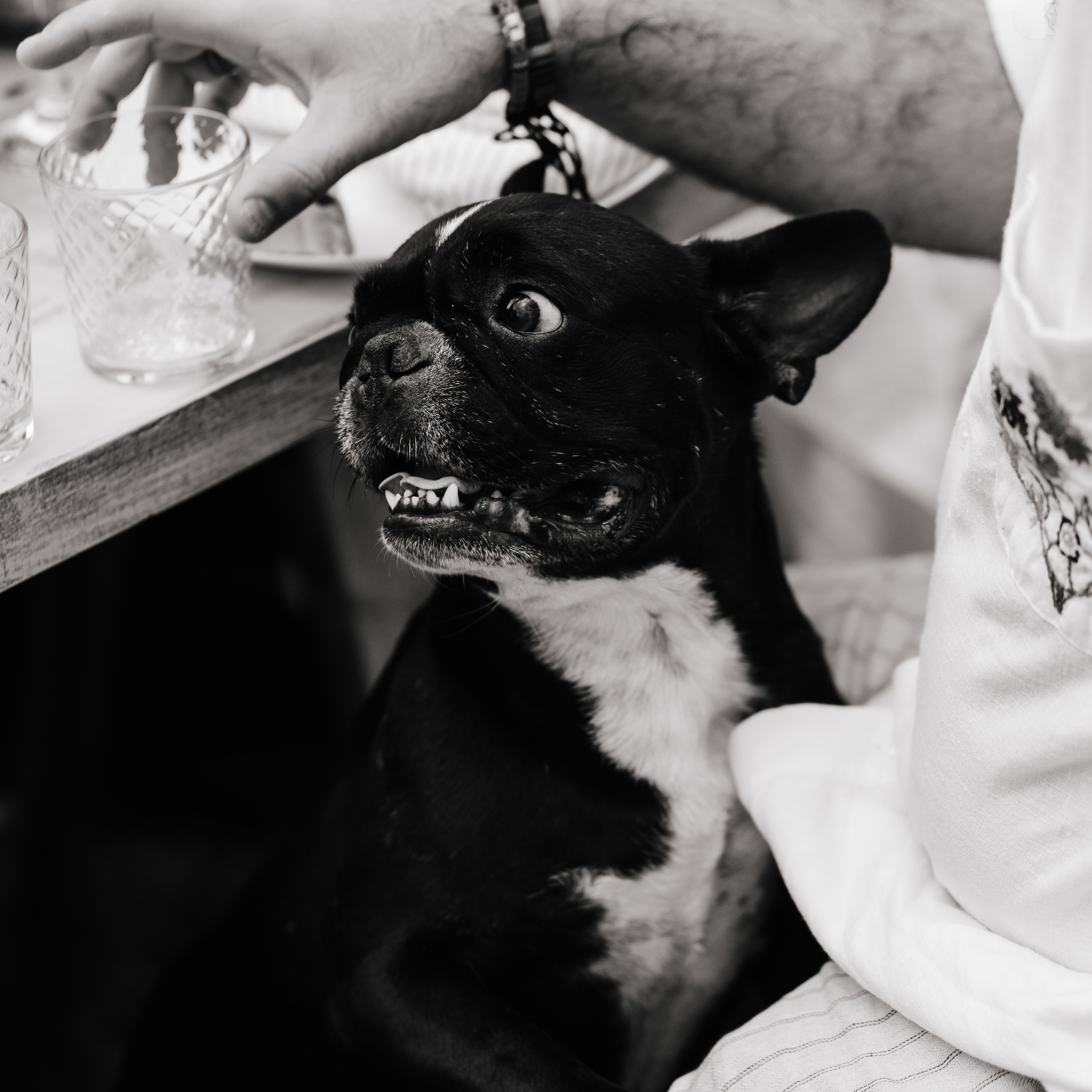 Happy Birthday. Репортажный и свадебный фотограф в Краснодаре Владислав Рыжов