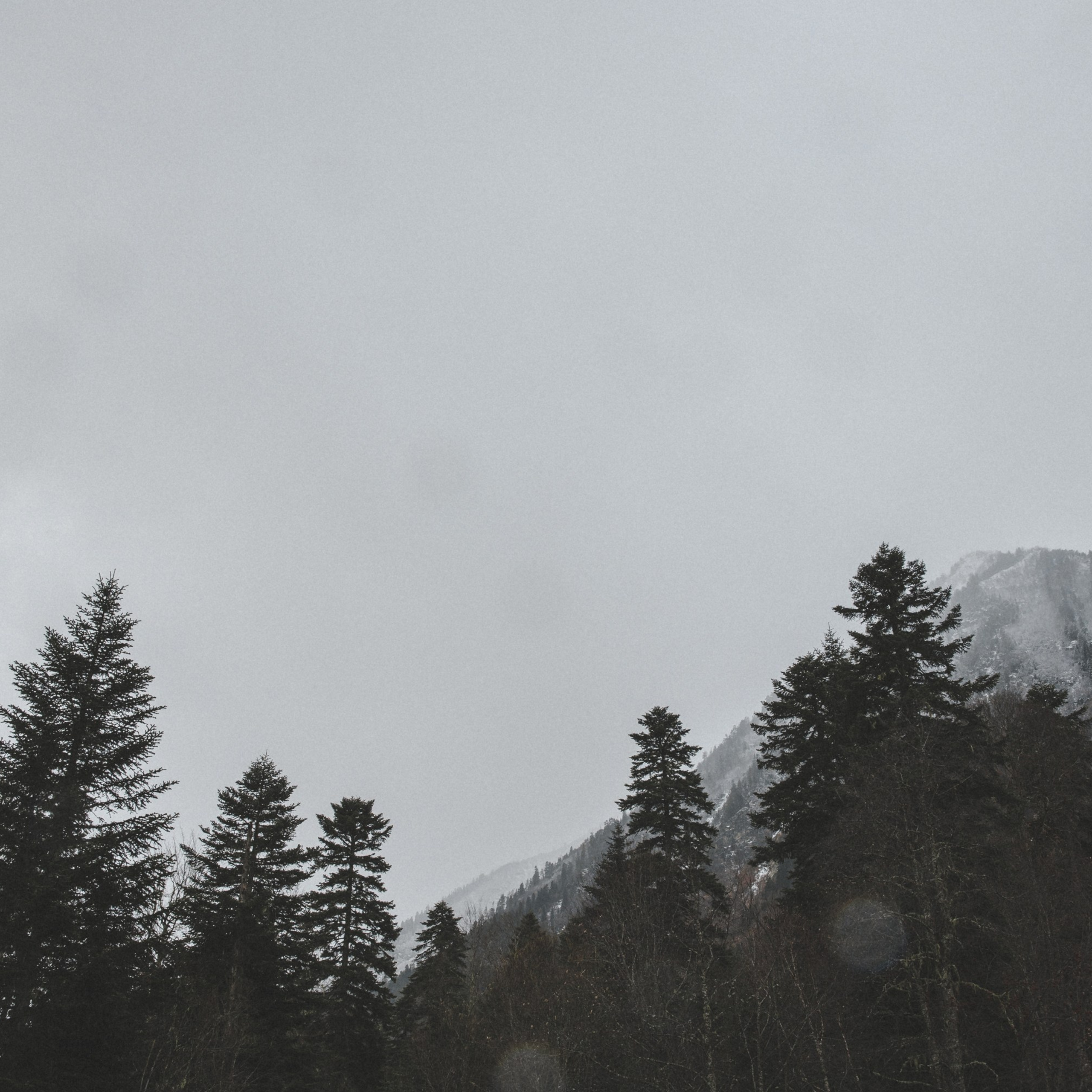 Осенние каникулы. Репортажный и свадебный фотограф в Краснодаре Владислав Рыжов