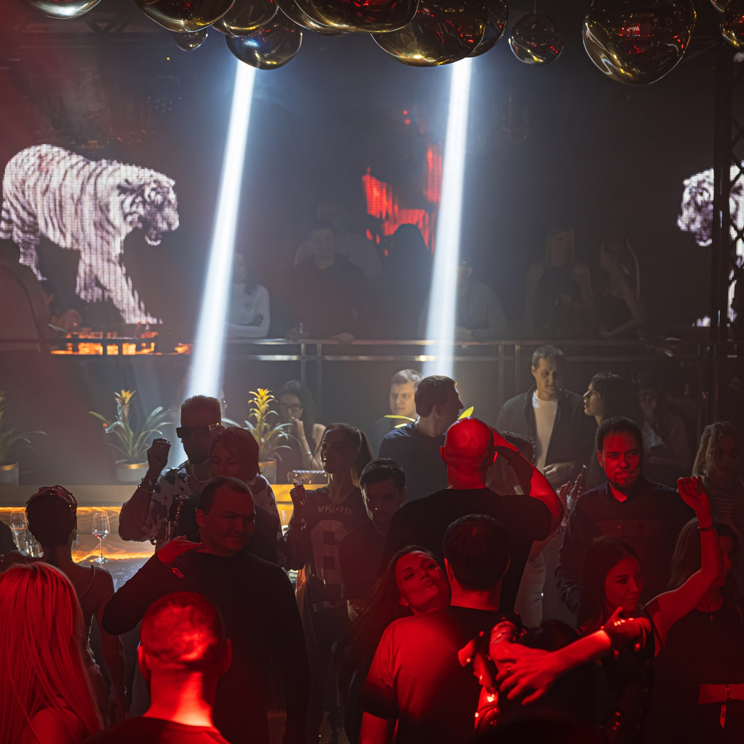 Circus 64. Репортажный и свадебный фотограф в Краснодаре Владислав Рыжов