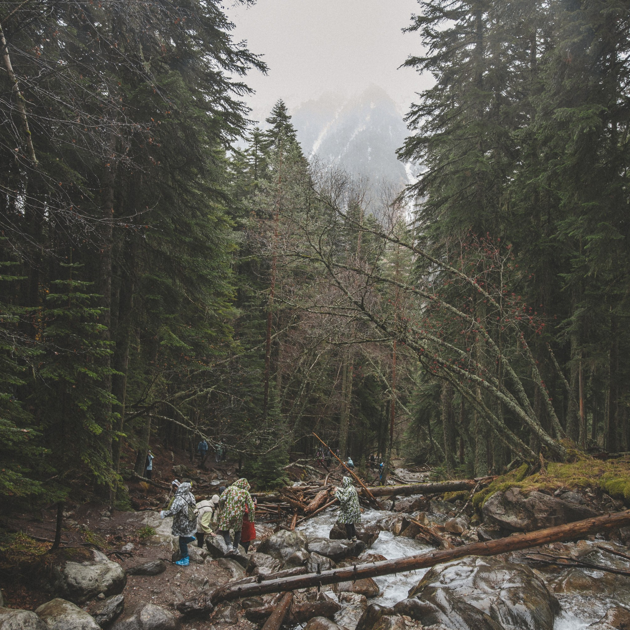 Осенние каникулы. Репортажный и свадебный фотограф в Краснодаре Владислав Рыжов