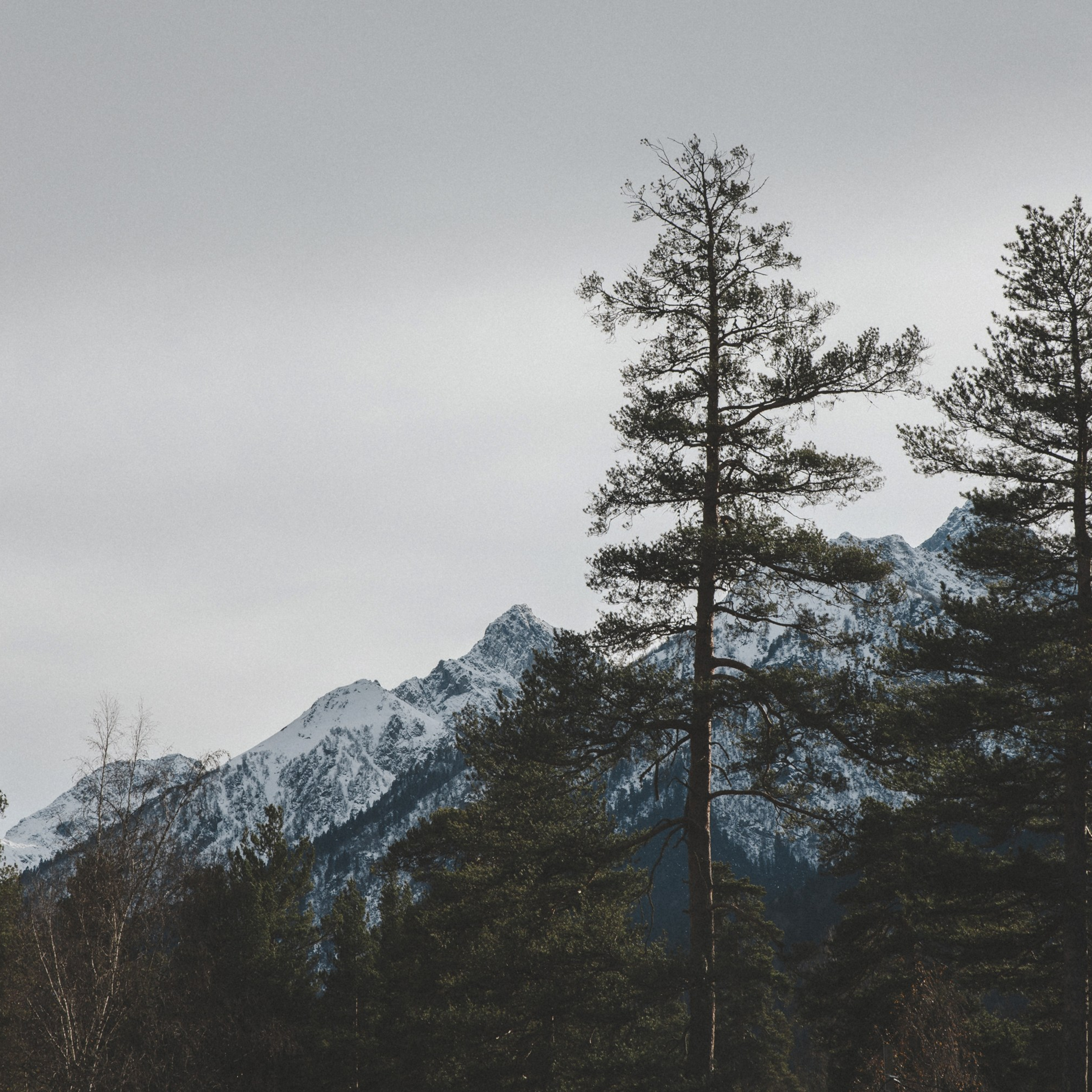 Осенние каникулы. Репортажный и свадебный фотограф в Краснодаре Владислав Рыжов