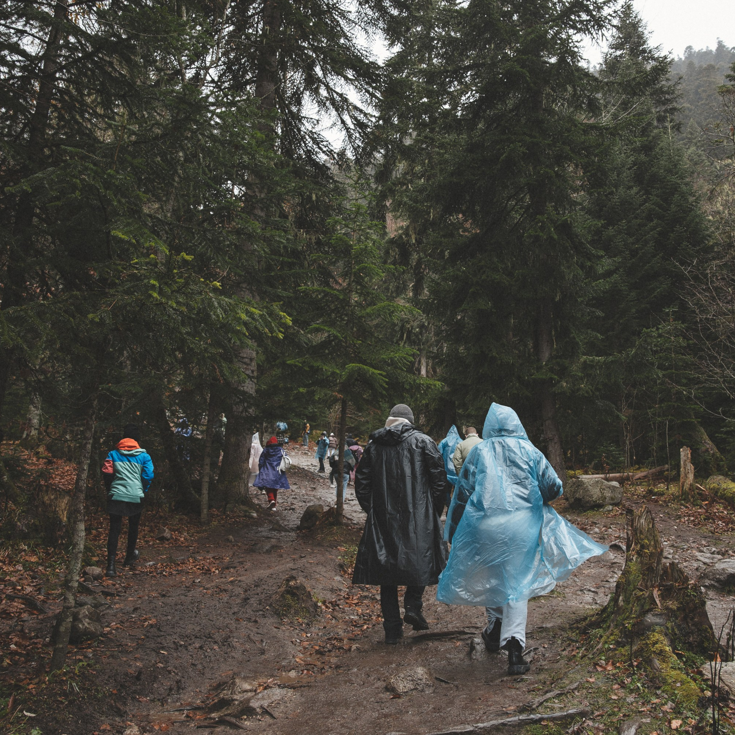 Осенние каникулы. Репортажный и свадебный фотограф в Краснодаре Владислав Рыжов
