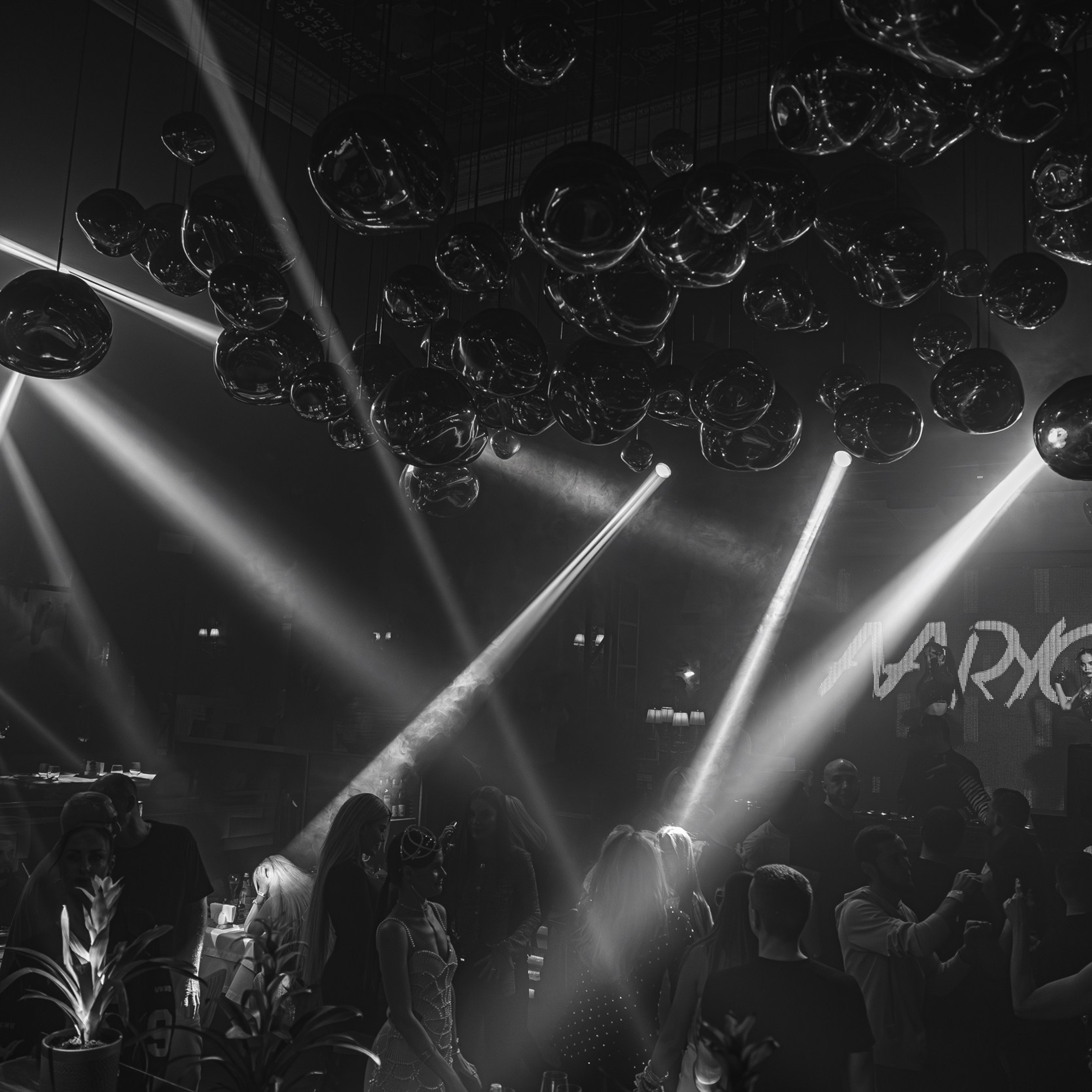 Circus 64. Репортажный и свадебный фотограф в Краснодаре Владислав Рыжов