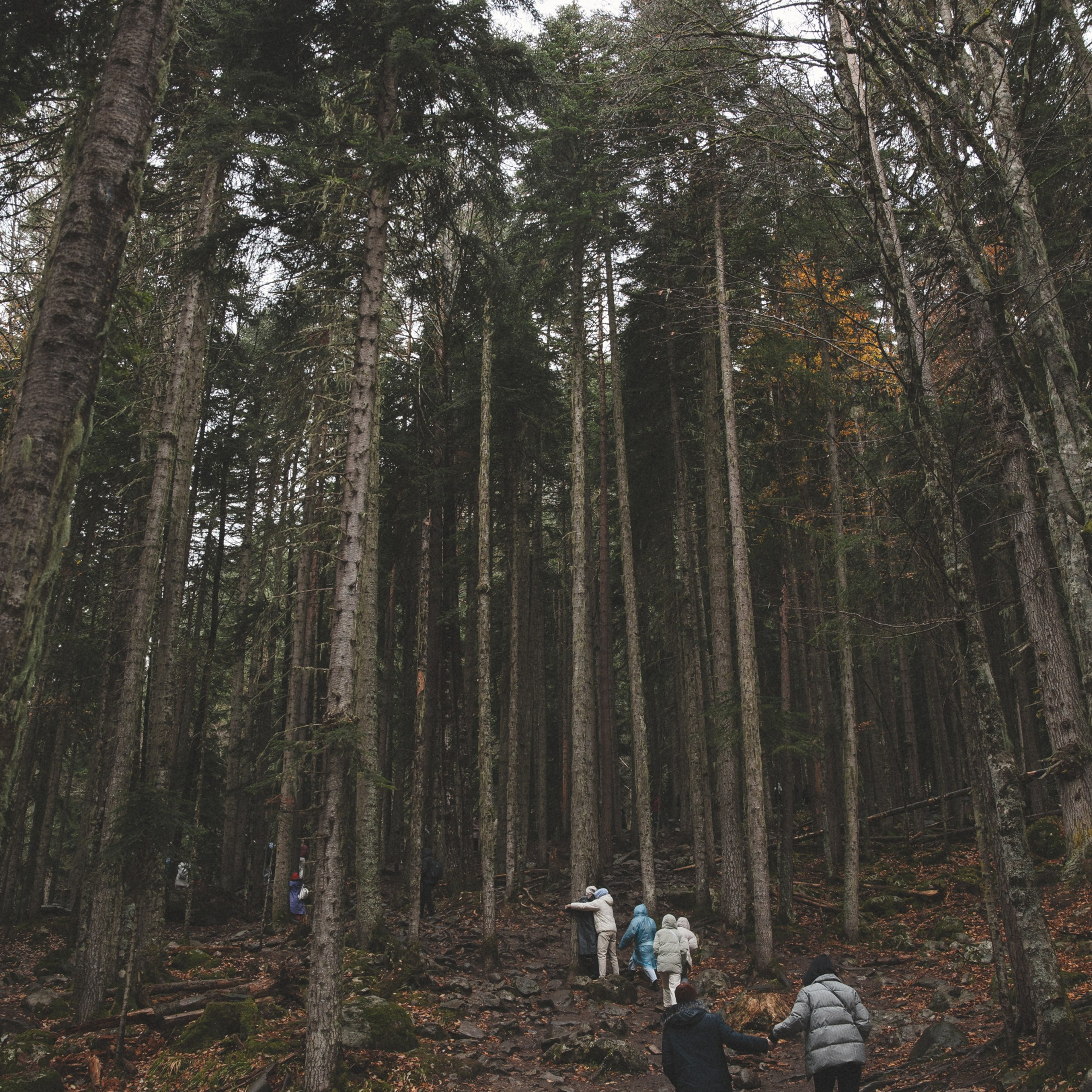 Осенние каникулы. Репортажный и свадебный фотограф в Краснодаре Владислав Рыжов