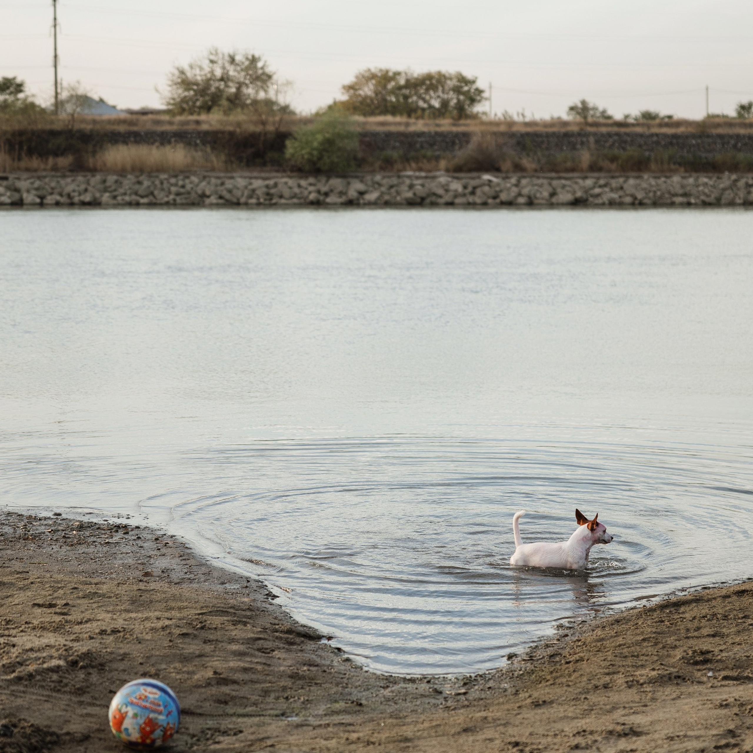 Gender party. Репортажный и свадебный фотограф в Краснодаре Владислав Рыжов