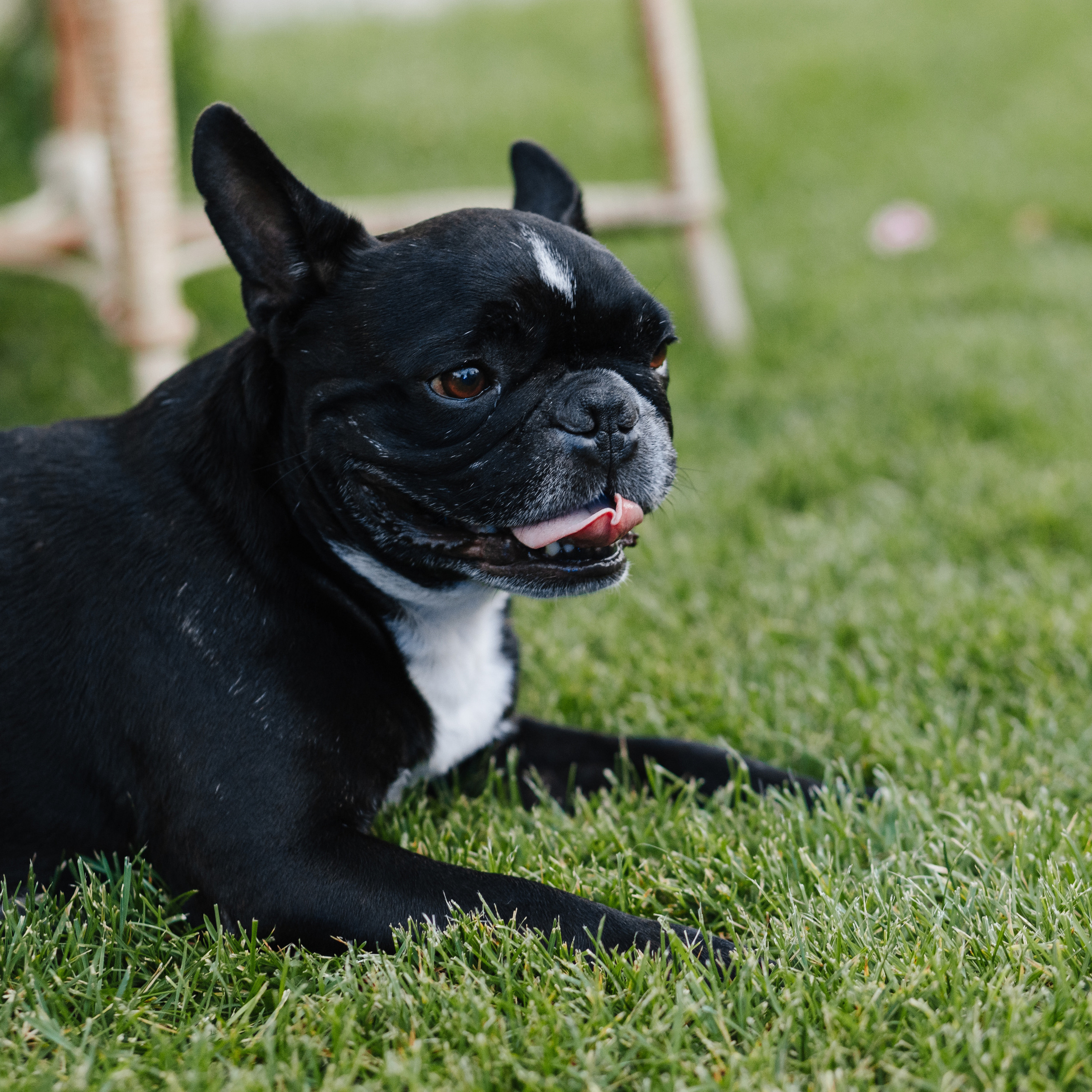 Happy Birthday. Репортажный и свадебный фотограф в Краснодаре Владислав Рыжов