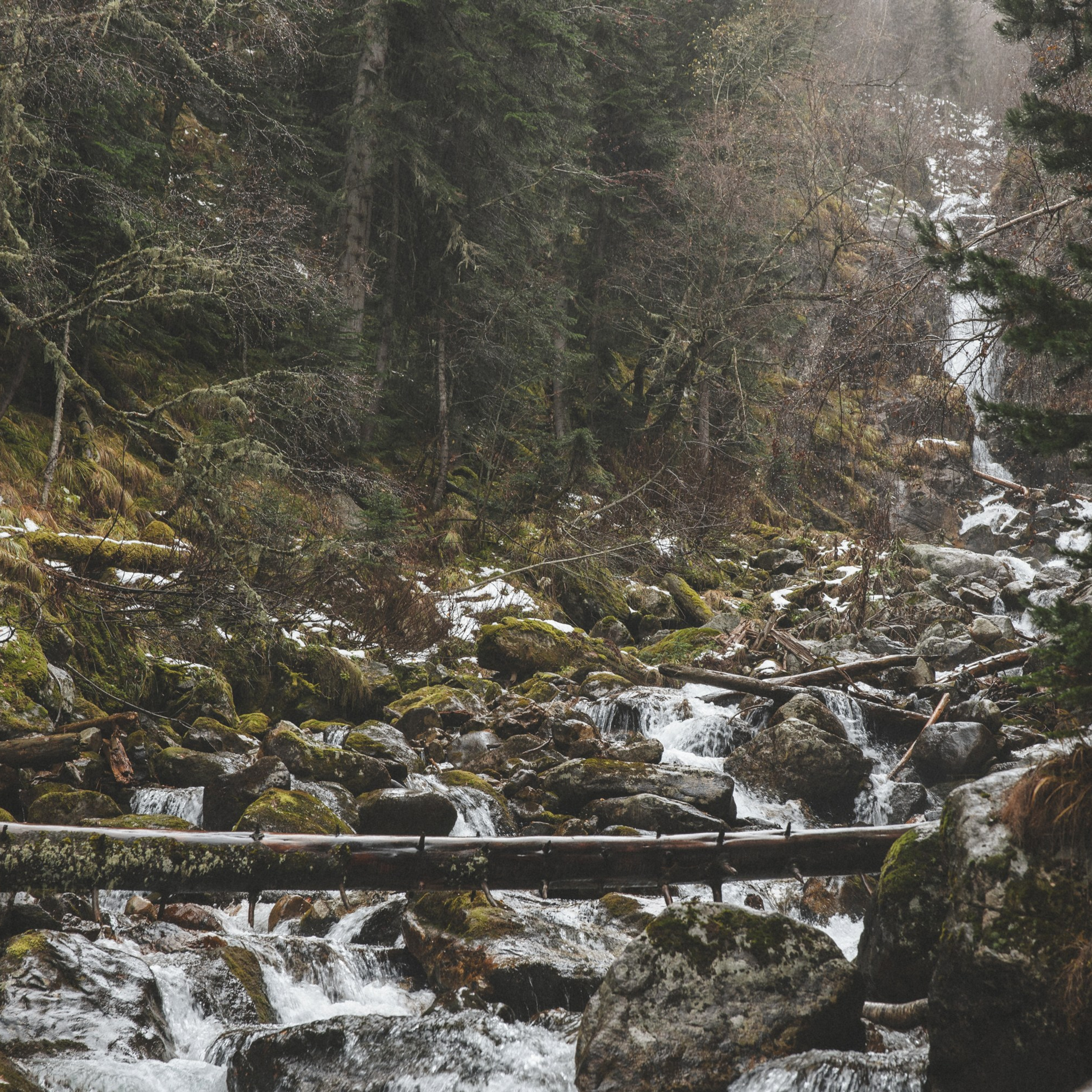 Осенние каникулы. Репортажный и свадебный фотограф в Краснодаре Владислав Рыжов