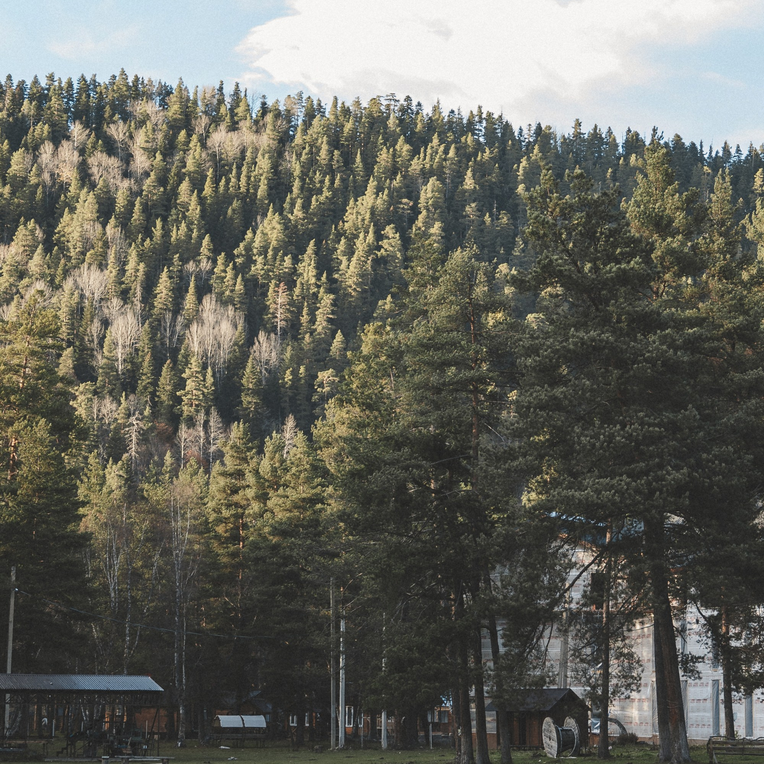Осенние каникулы. Репортажный и свадебный фотограф в Краснодаре Владислав Рыжов