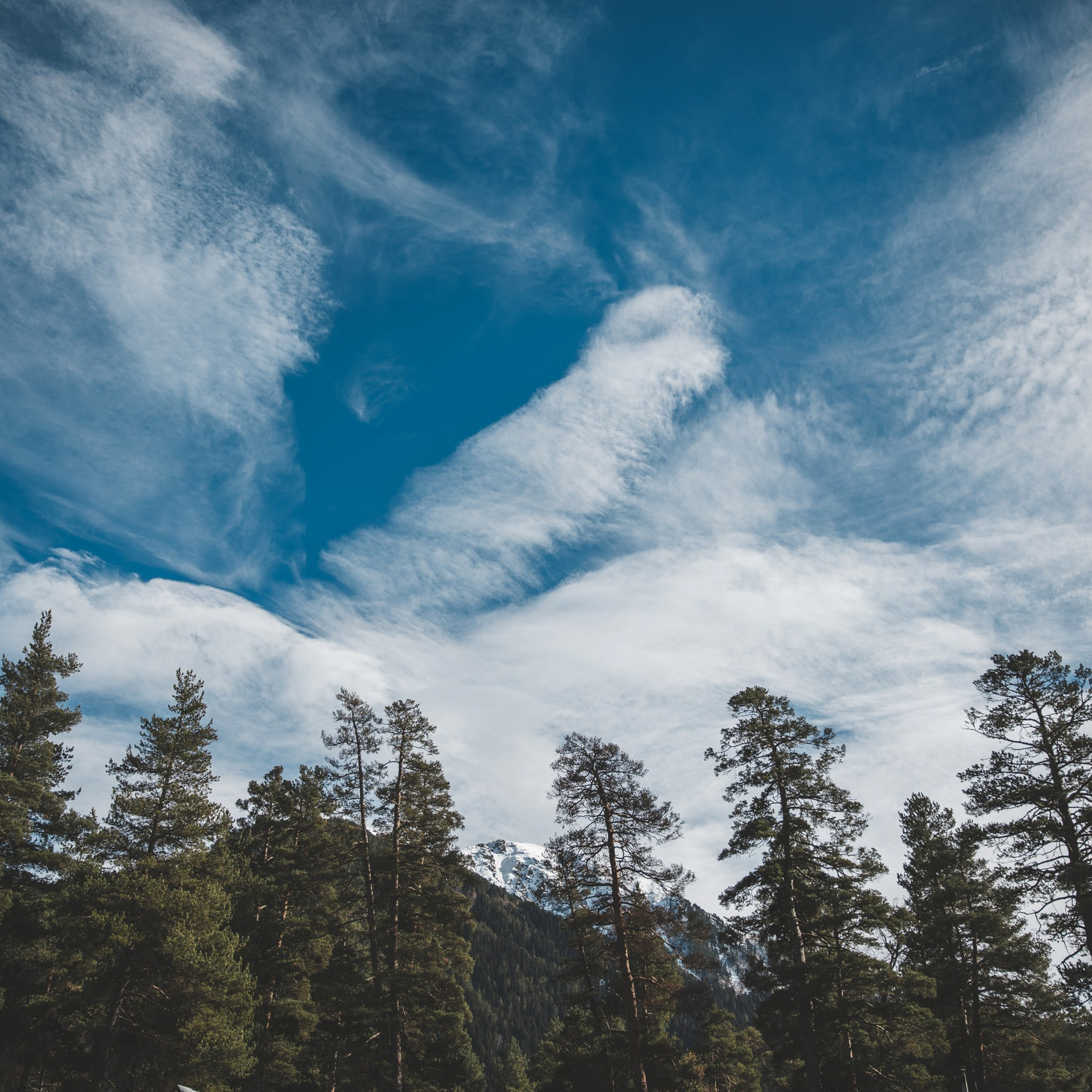 Осенние каникулы. Репортажный и свадебный фотограф в Краснодаре Владислав Рыжов