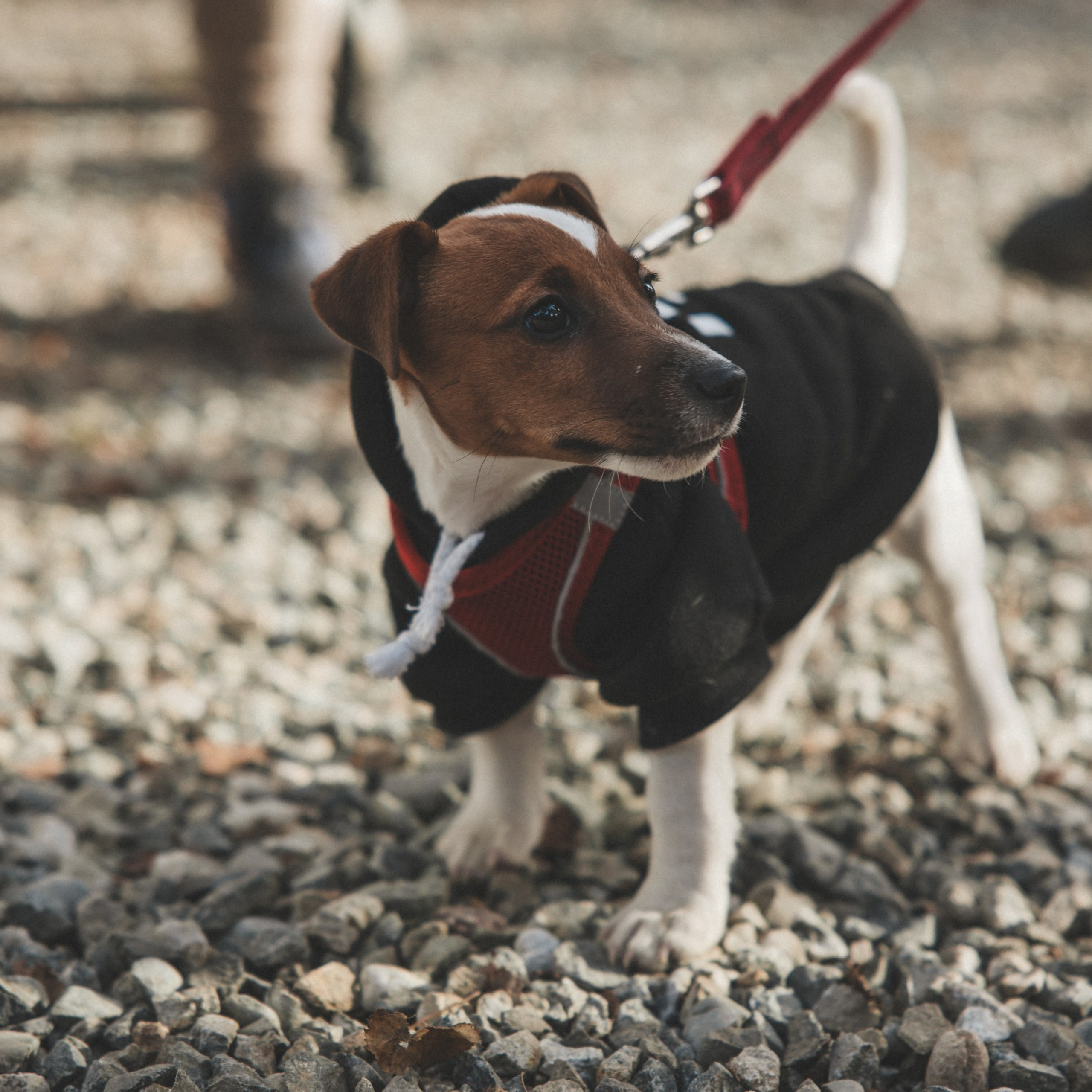 Осенние каникулы. Репортажный и свадебный фотограф в Краснодаре Владислав Рыжов