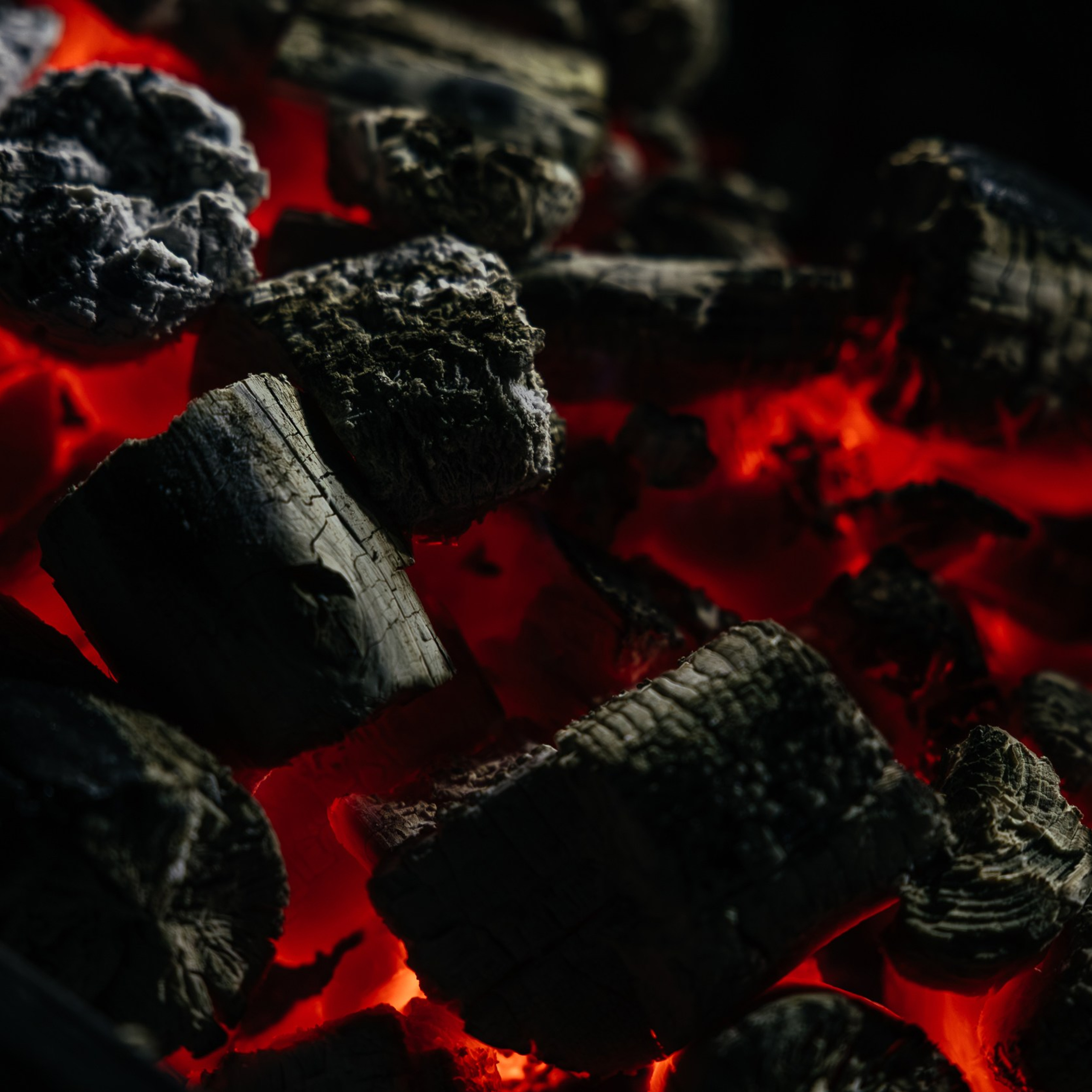 Гриль! Рест! Фест!. Репортажный и свадебный фотограф в Краснодаре Владислав Рыжов