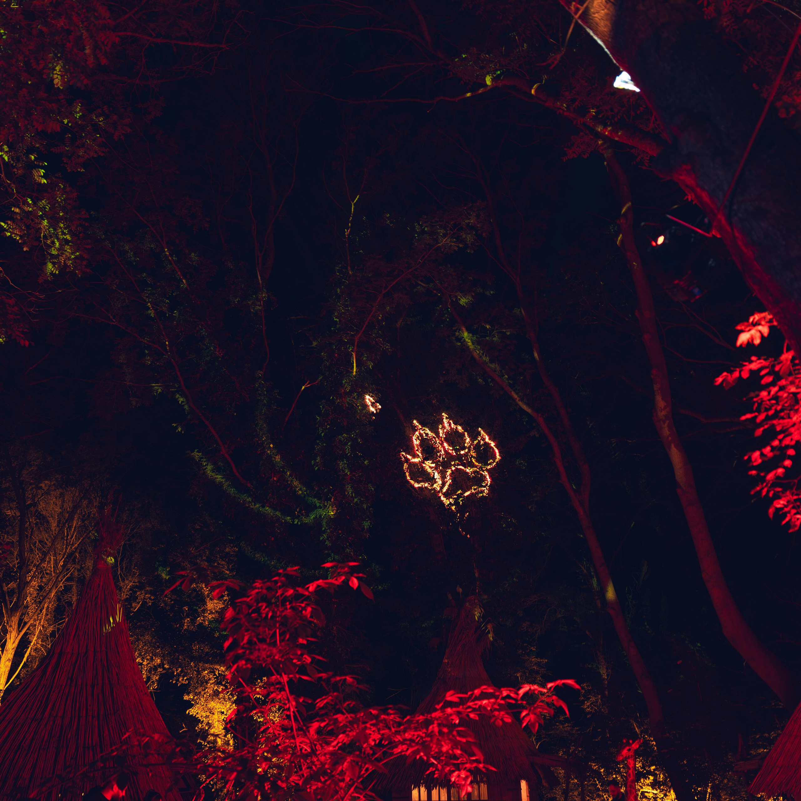 MAEWKA. Репортажный и свадебный фотограф в Краснодаре Владислав Рыжов