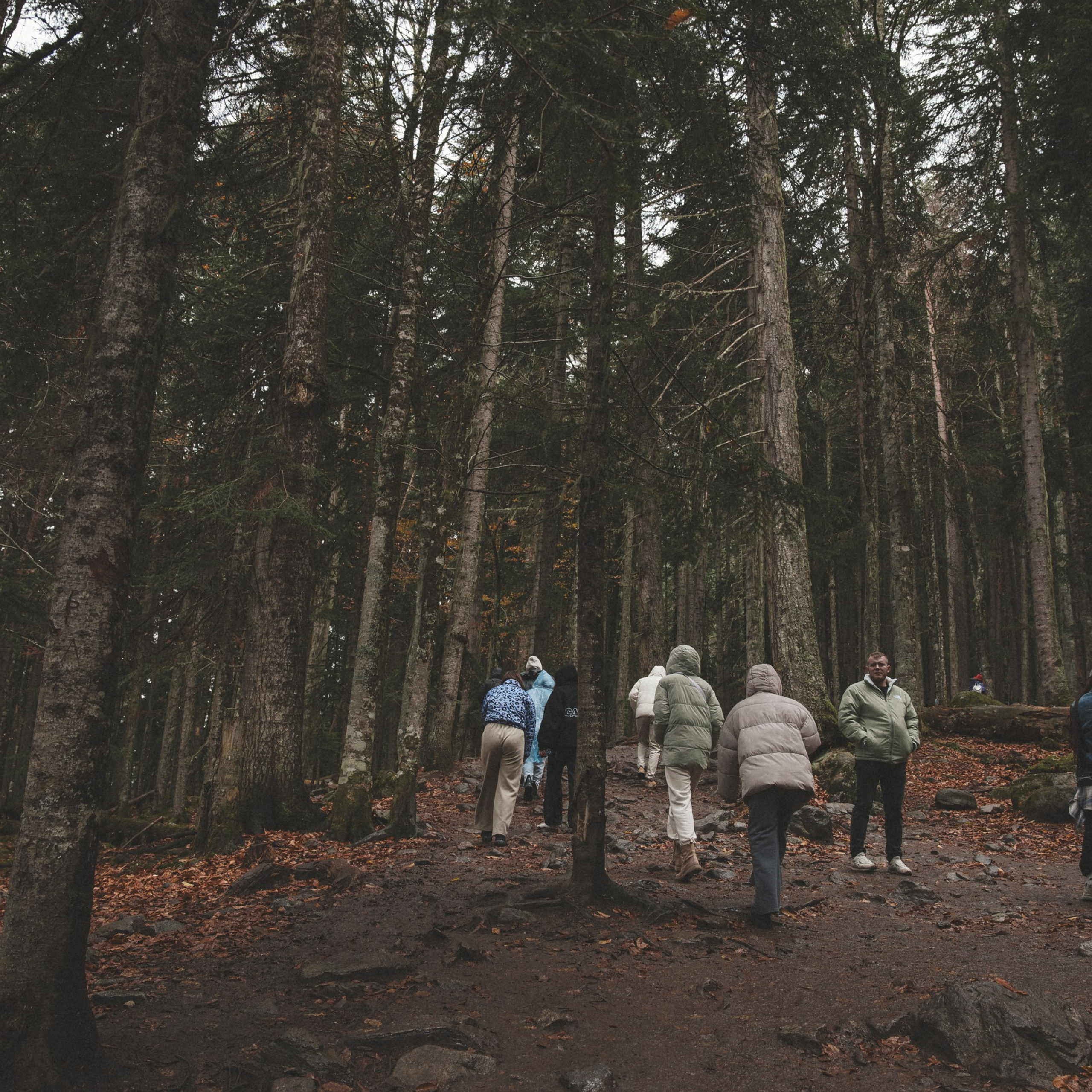 Осенние каникулы. Репортажный и свадебный фотограф в Краснодаре Владислав Рыжов
