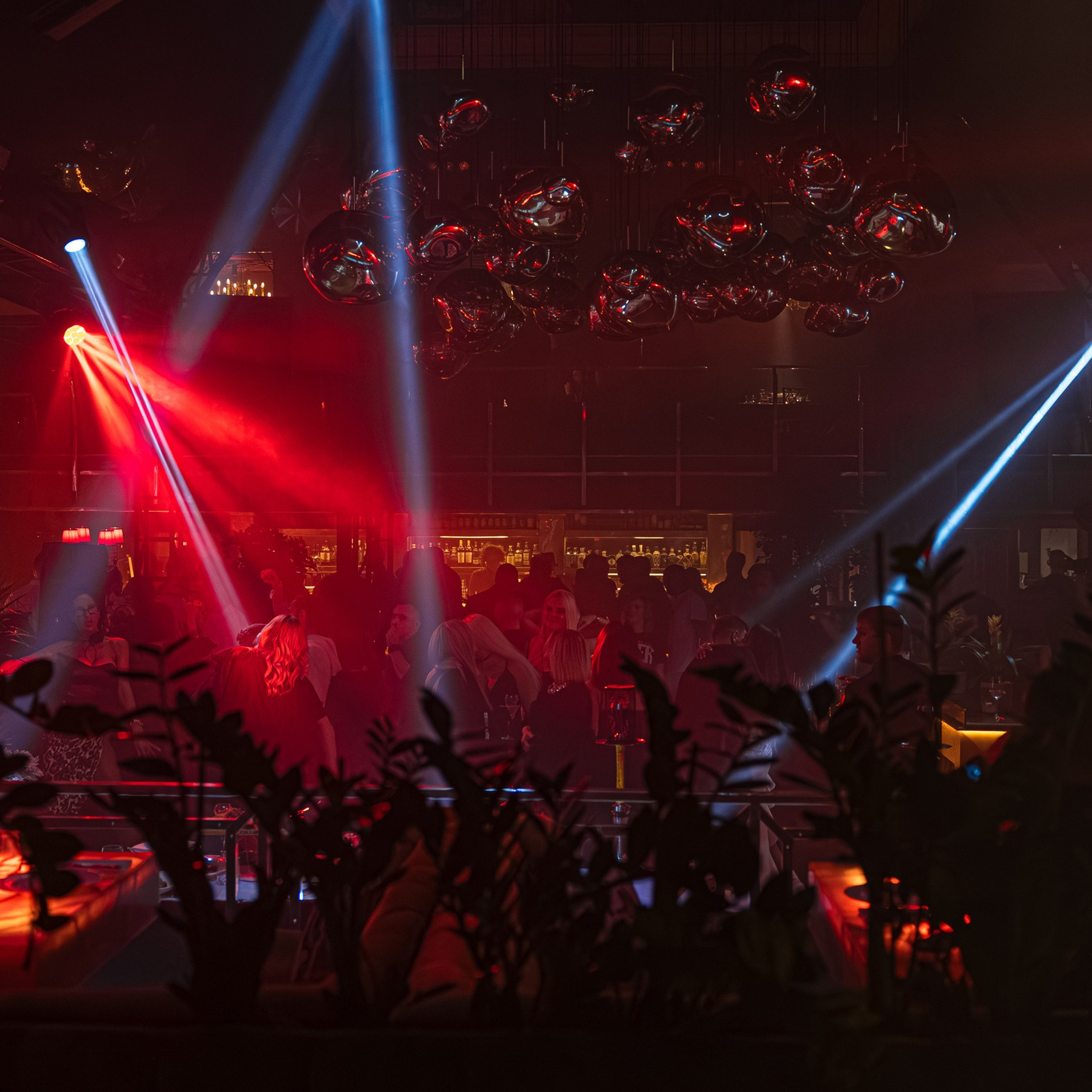 Circus 64. Репортажный и свадебный фотограф в Краснодаре Владислав Рыжов