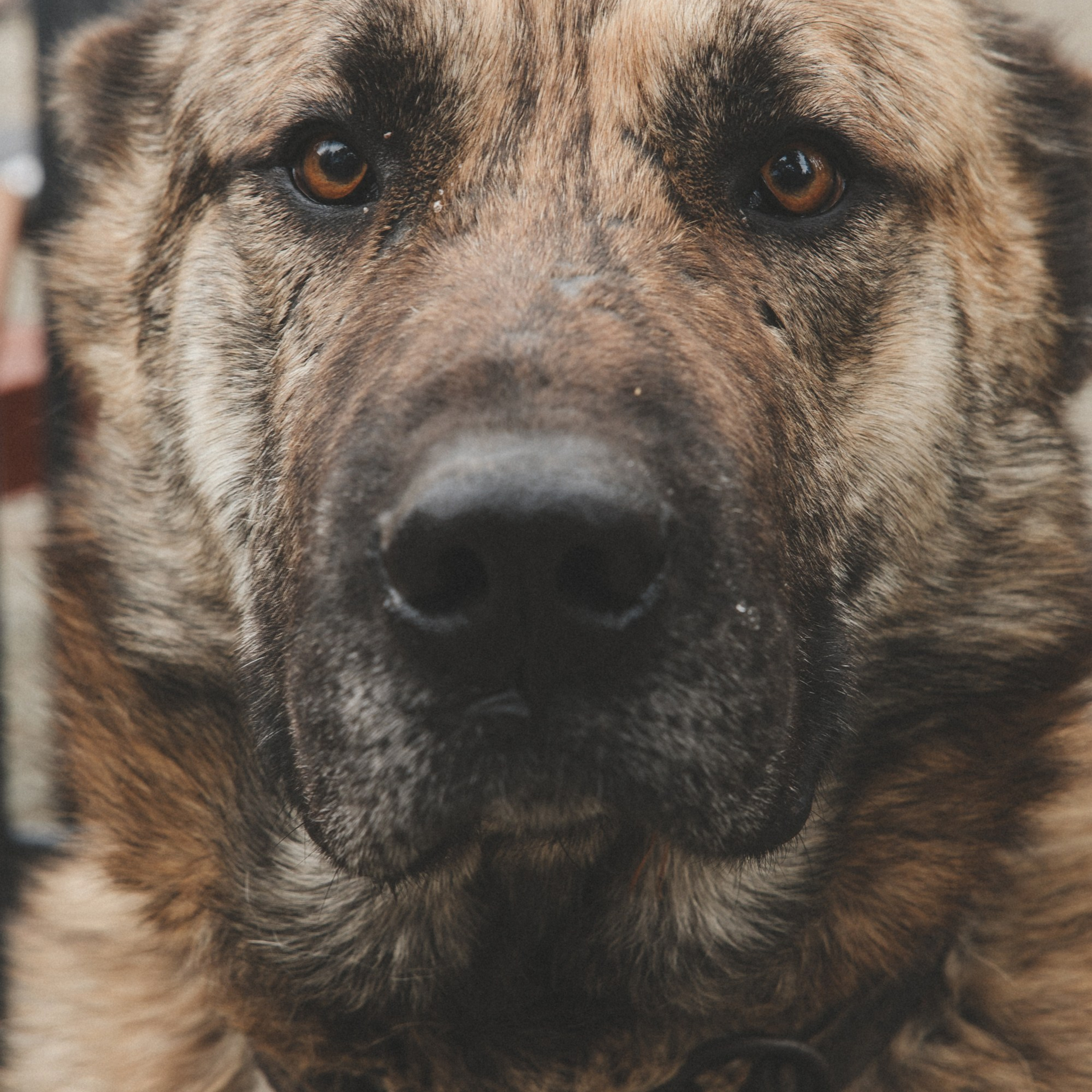 Осенние каникулы. Репортажный и свадебный фотограф в Краснодаре Владислав Рыжов