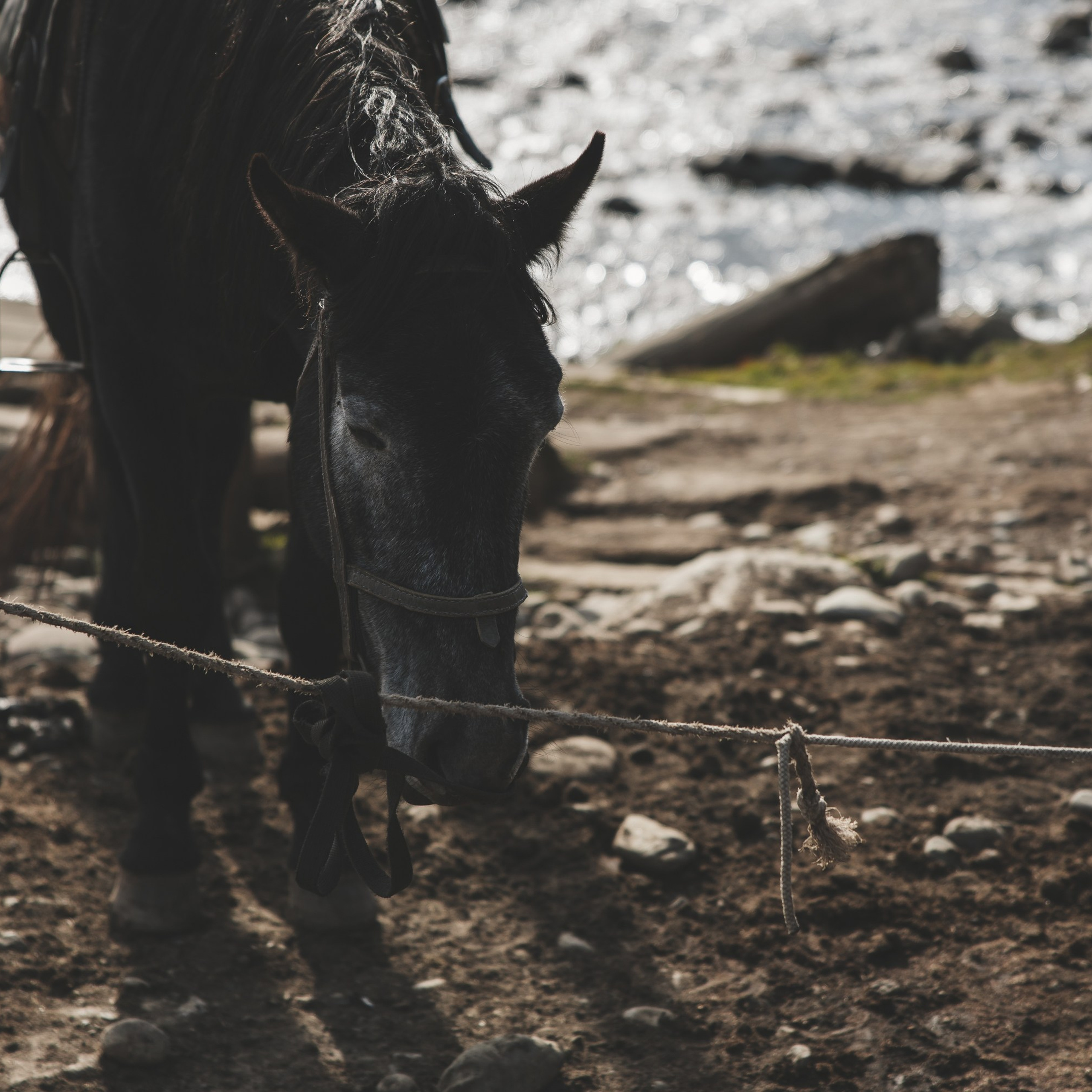 Осенние каникулы. Репортажный и свадебный фотограф в Краснодаре Владислав Рыжов