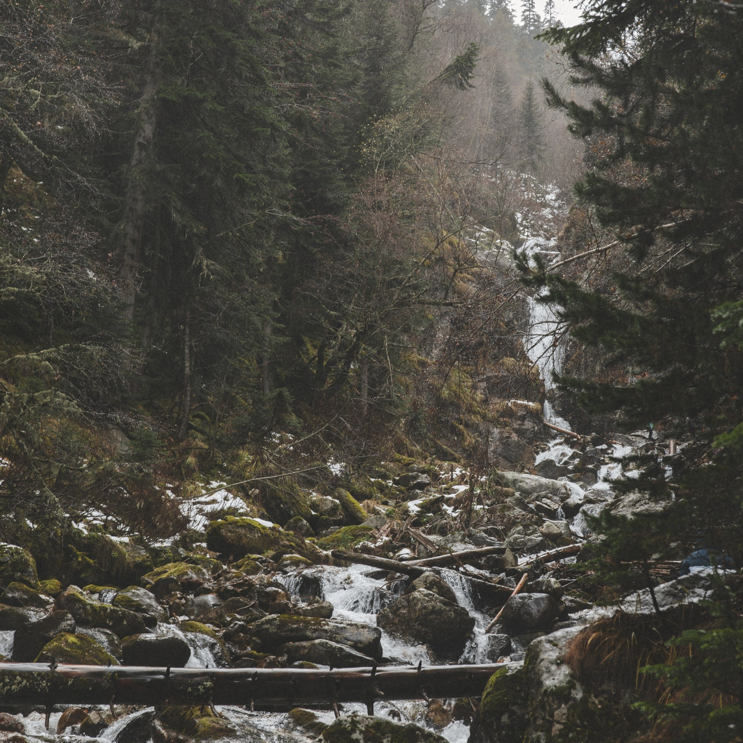 Осенние каникулы. Репортажный и свадебный фотограф в Краснодаре Владислав Рыжов