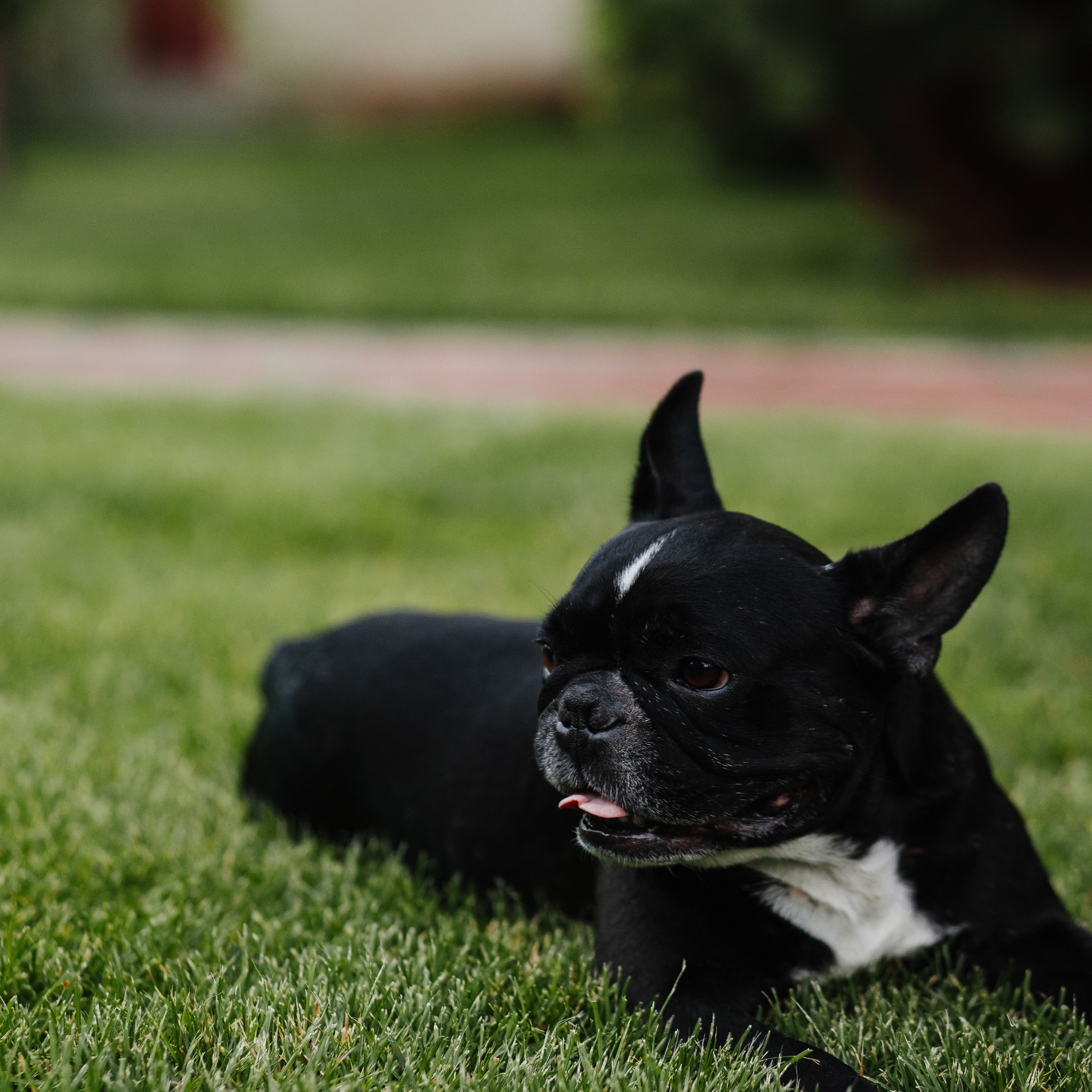 Happy Birthday. Репортажный и свадебный фотограф в Краснодаре Владислав Рыжов