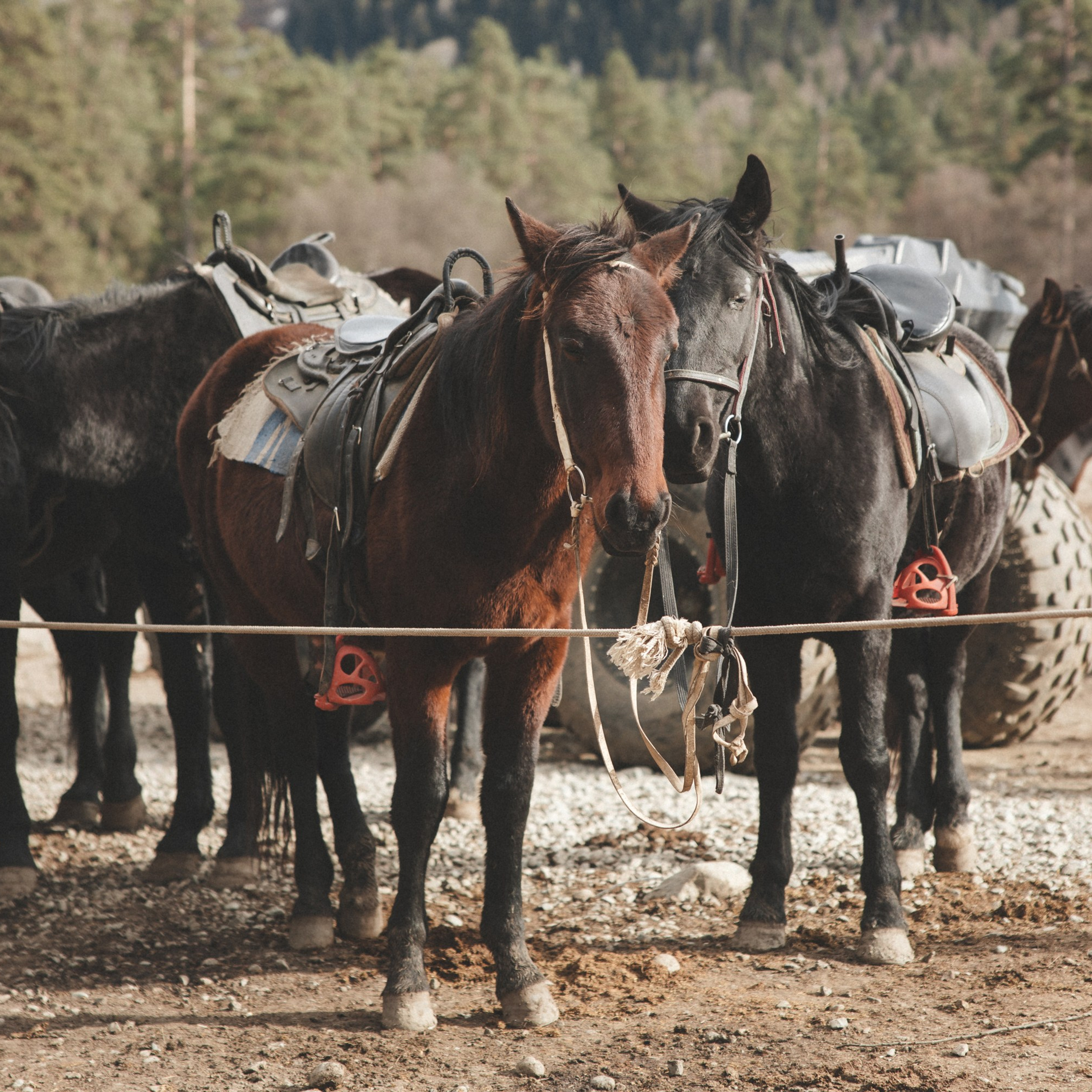 Осенние каникулы. Репортажный и свадебный фотограф в Краснодаре Владислав Рыжов