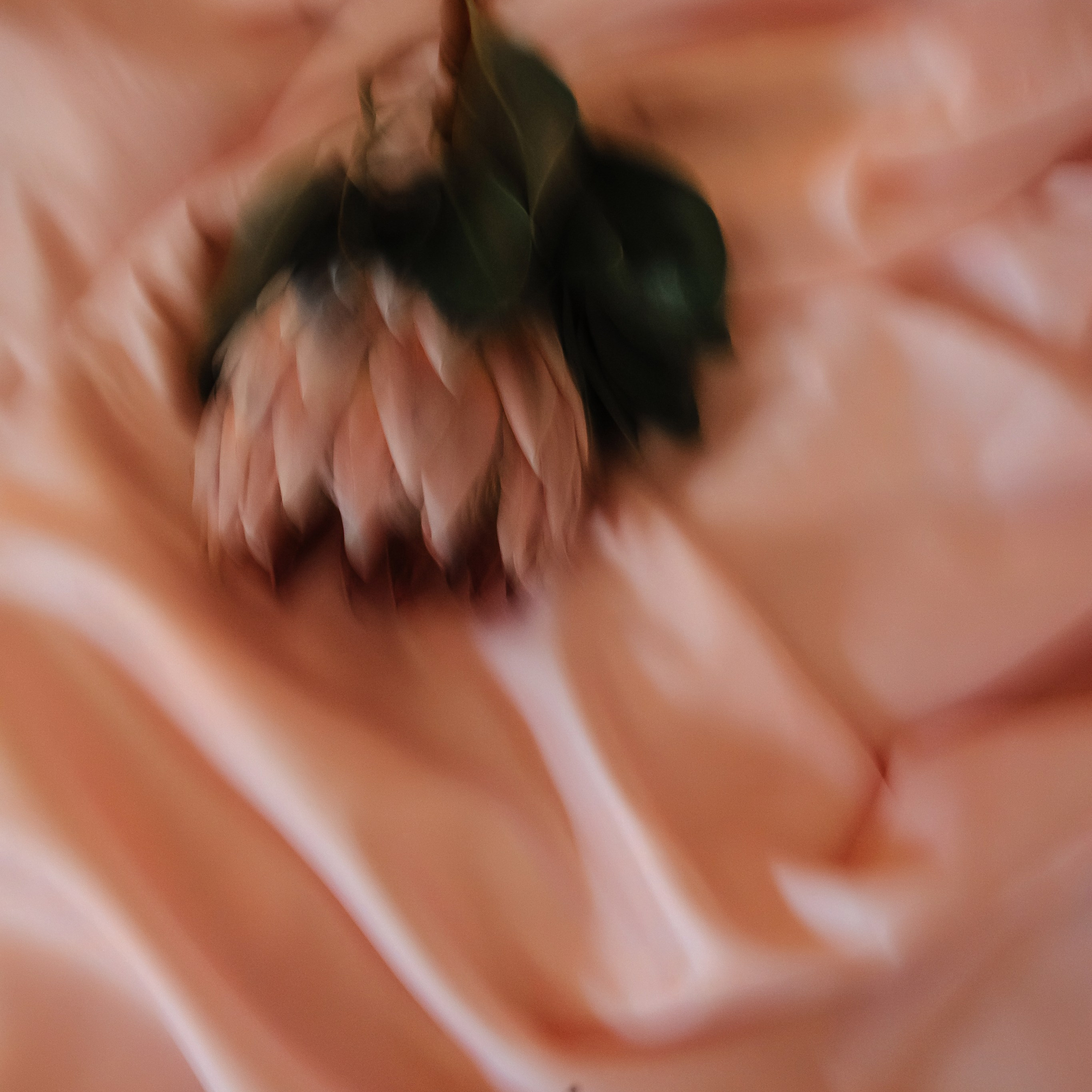 Лолита и&nbsp;Александр