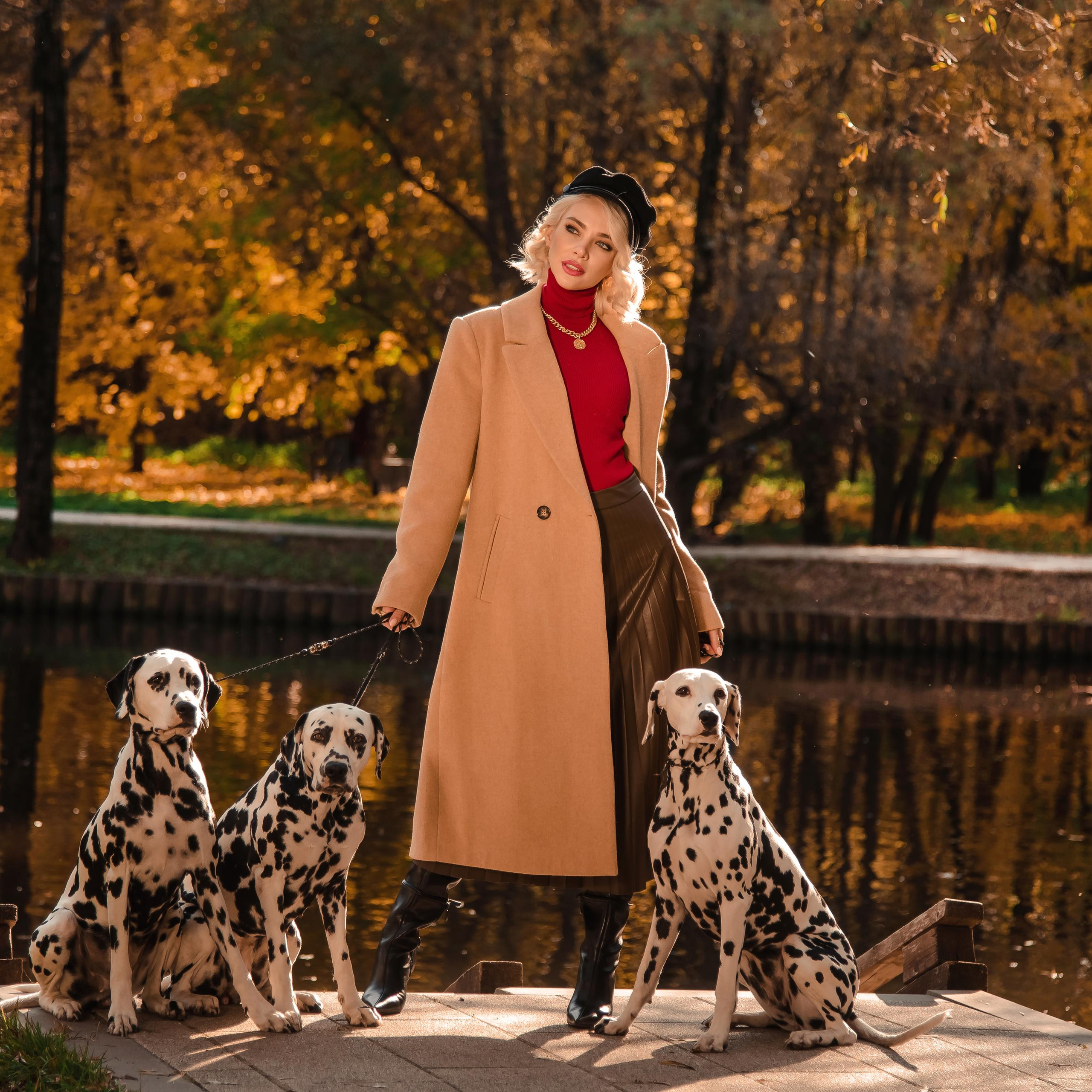 Далматины в большом городе 10.10.21