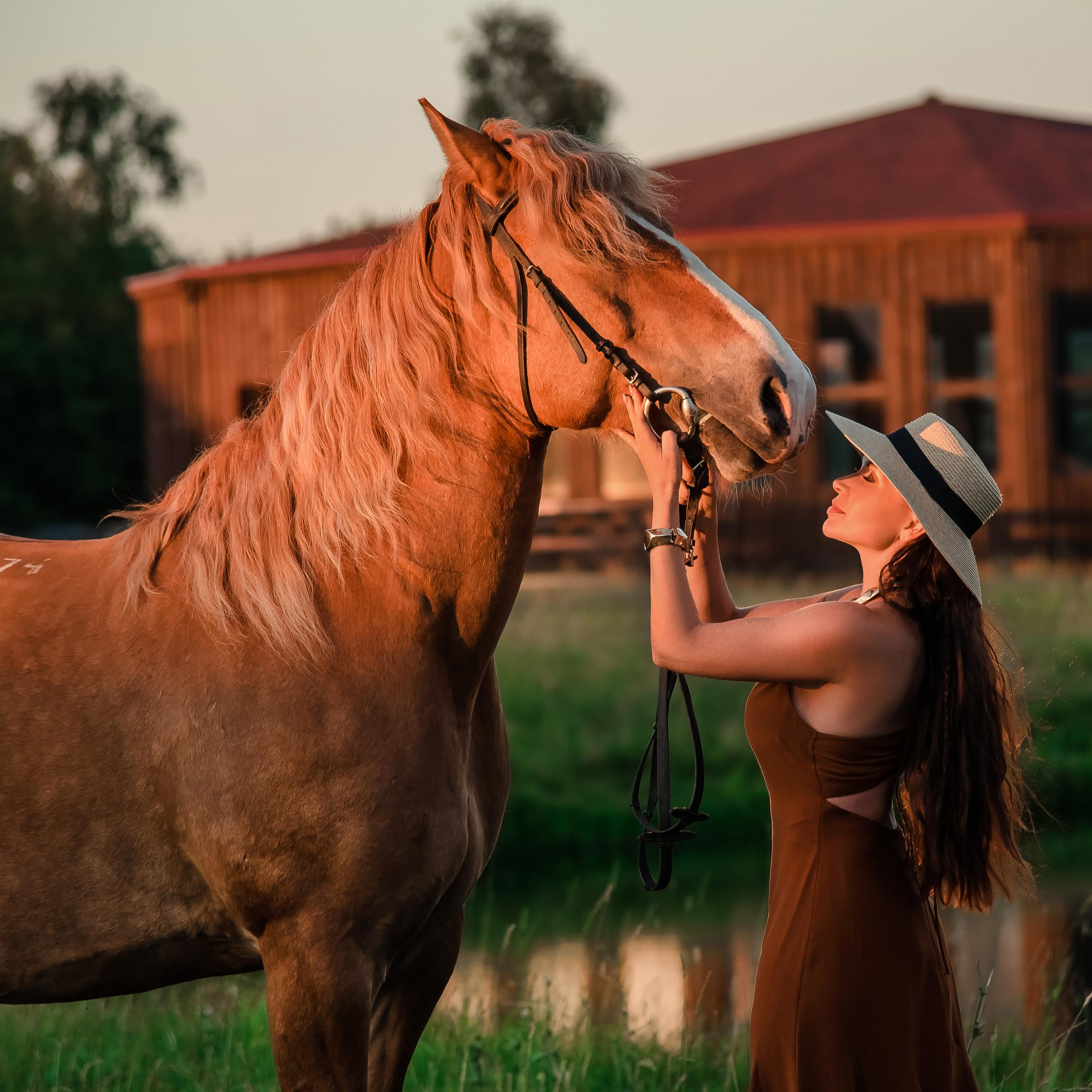 девушка с лошадью, фотосессия с рыжей лошадью на закате