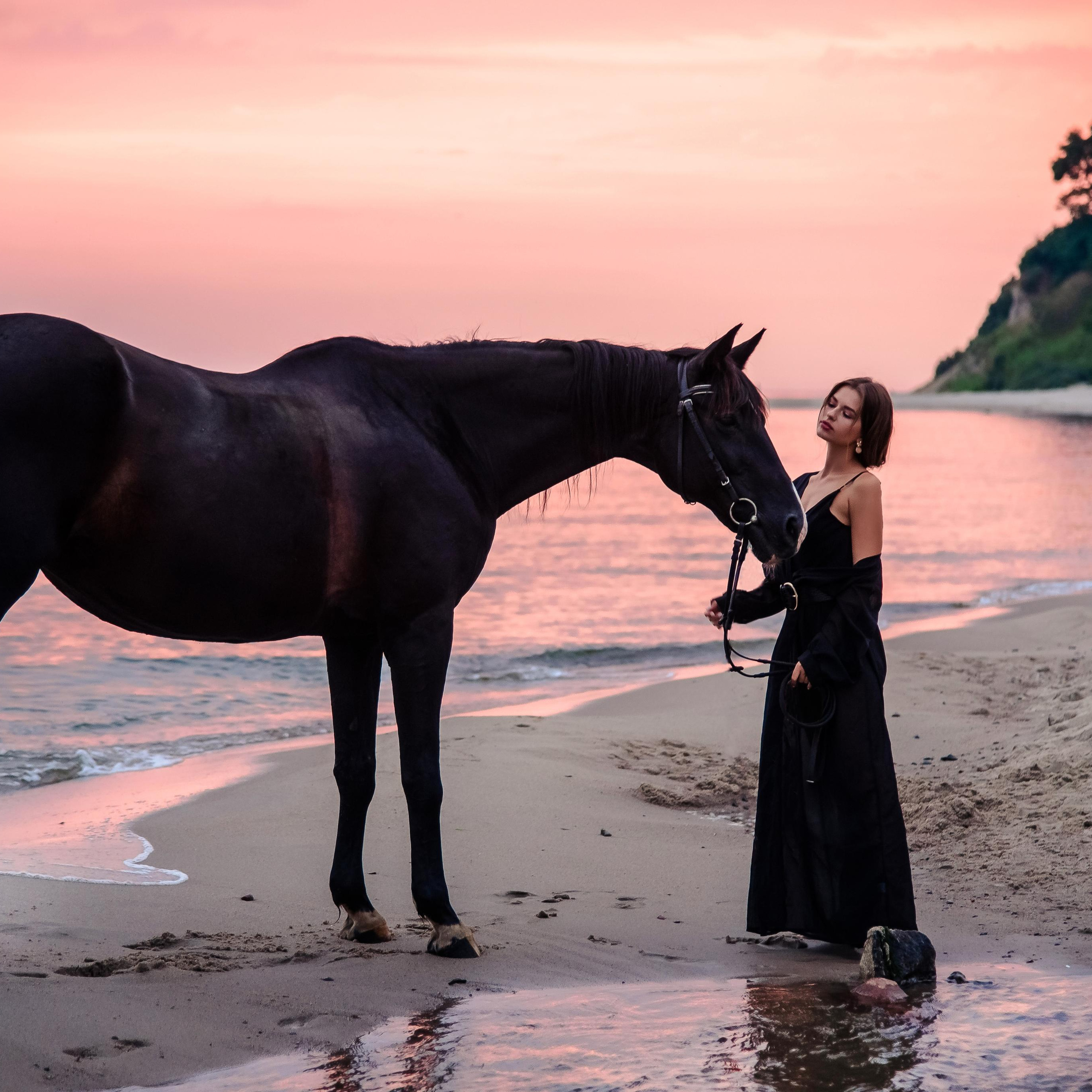фотосессия с лошадью на закате на пляже, девушка с лошадью на море