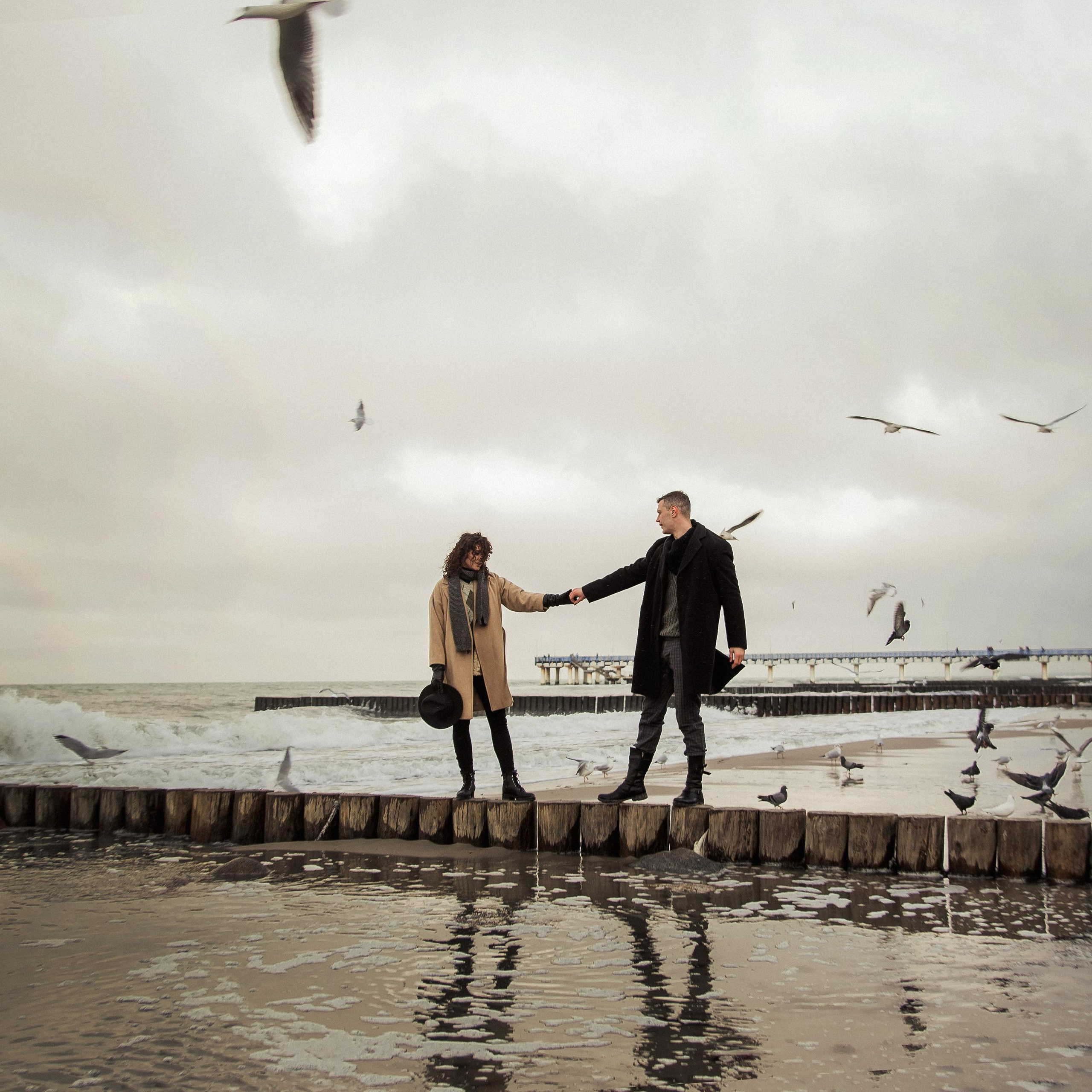 пара на море, Love-story на море, фотосессия с чайками