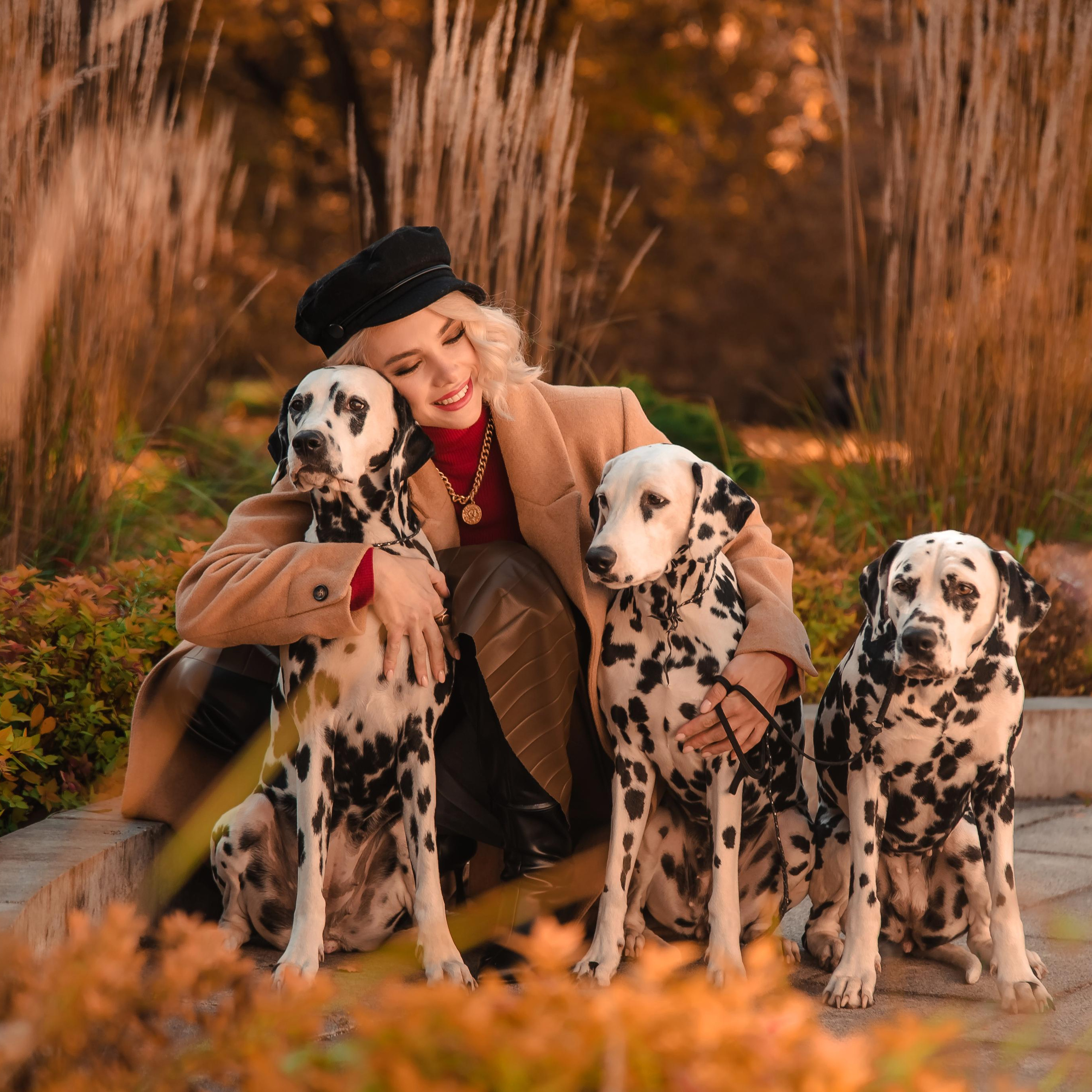 девушка с далматинами, фотосессия с далматинами