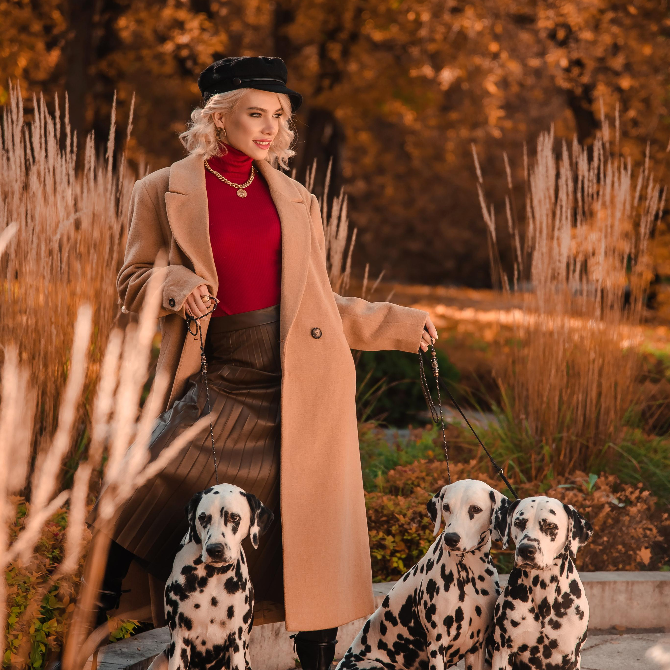 девушка с далматинами, фотосессия с далматинами