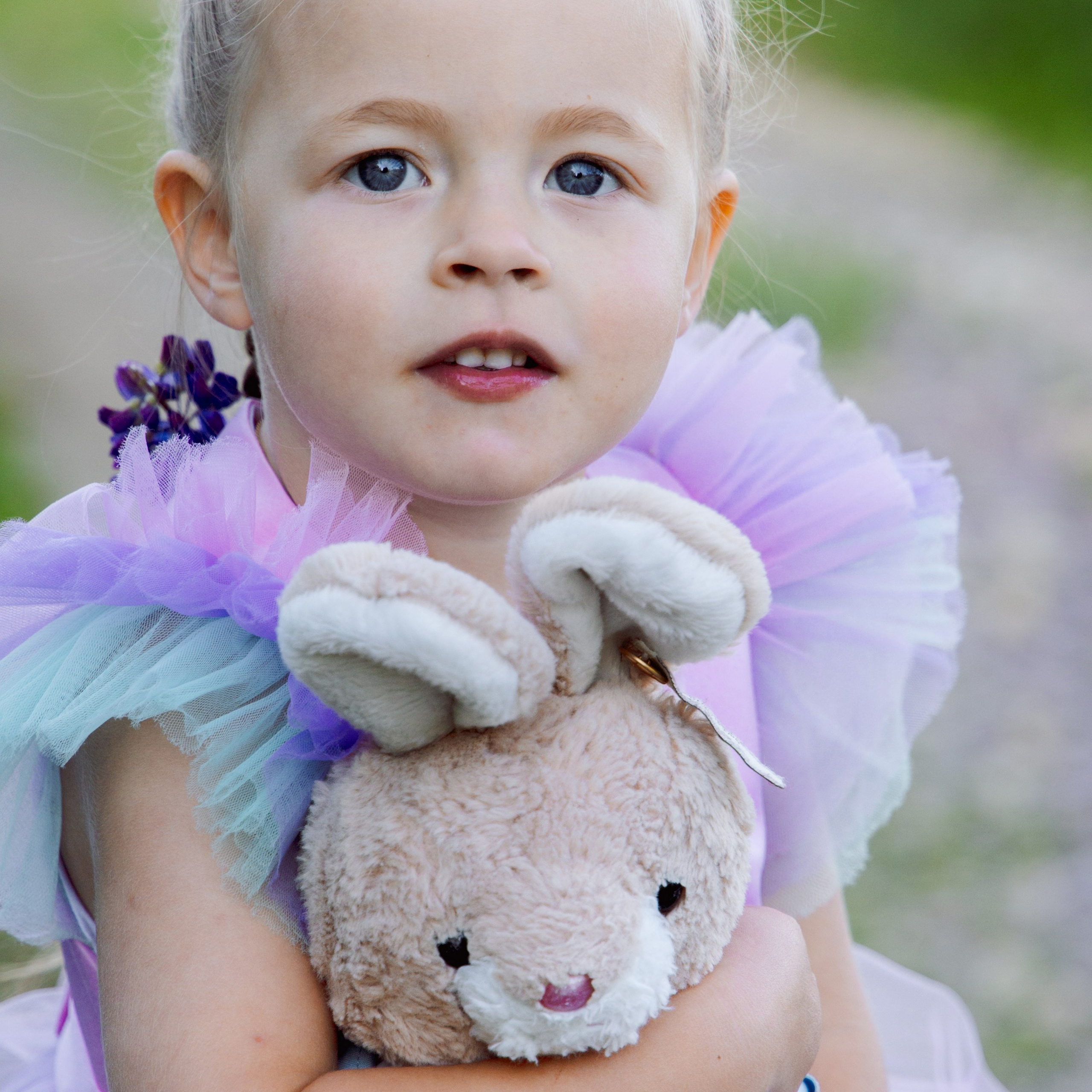 Летняя фотоистория в люпинах