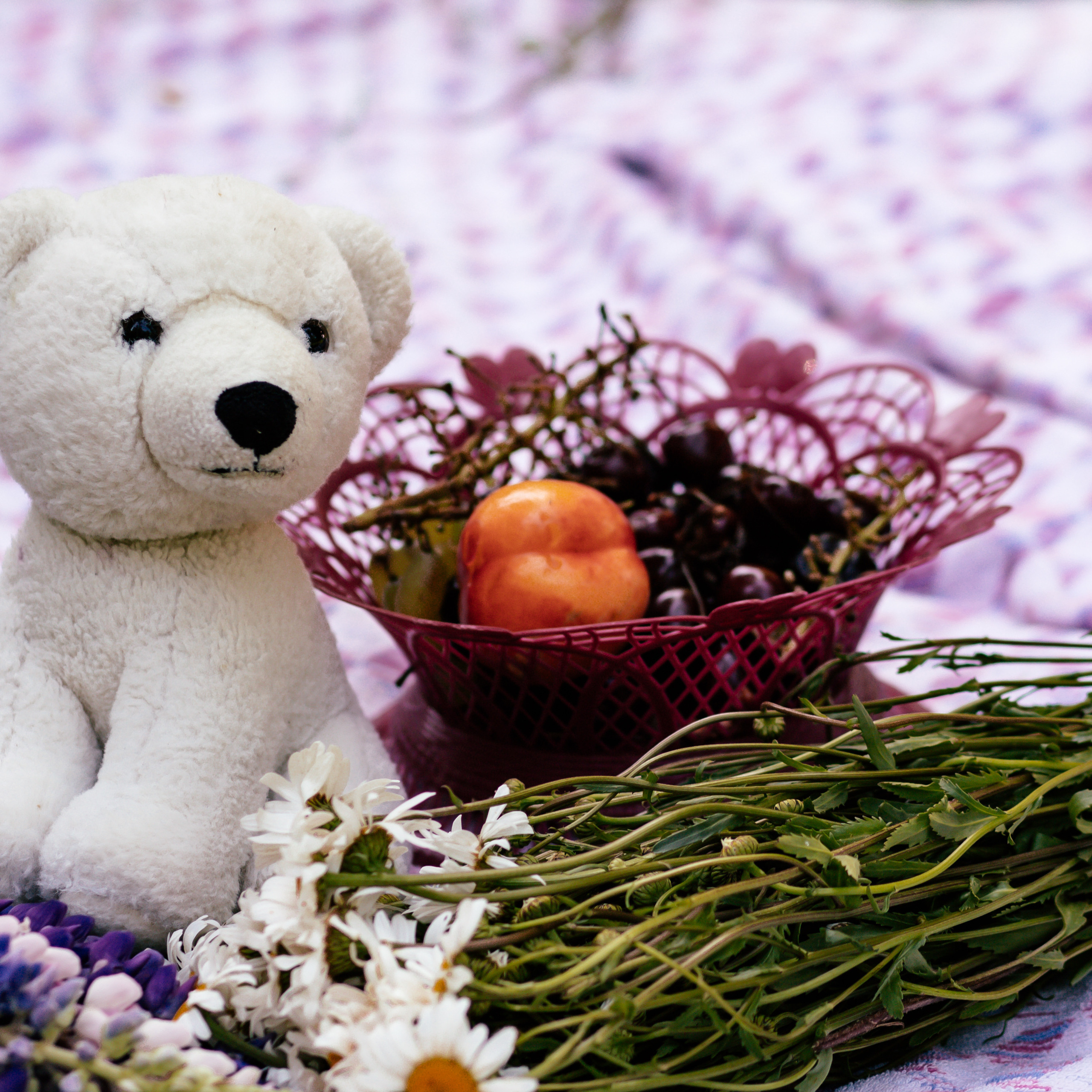 Отзывы. Детский и семейный фотограф Афанасьева Ольга. Санкт-Петербург