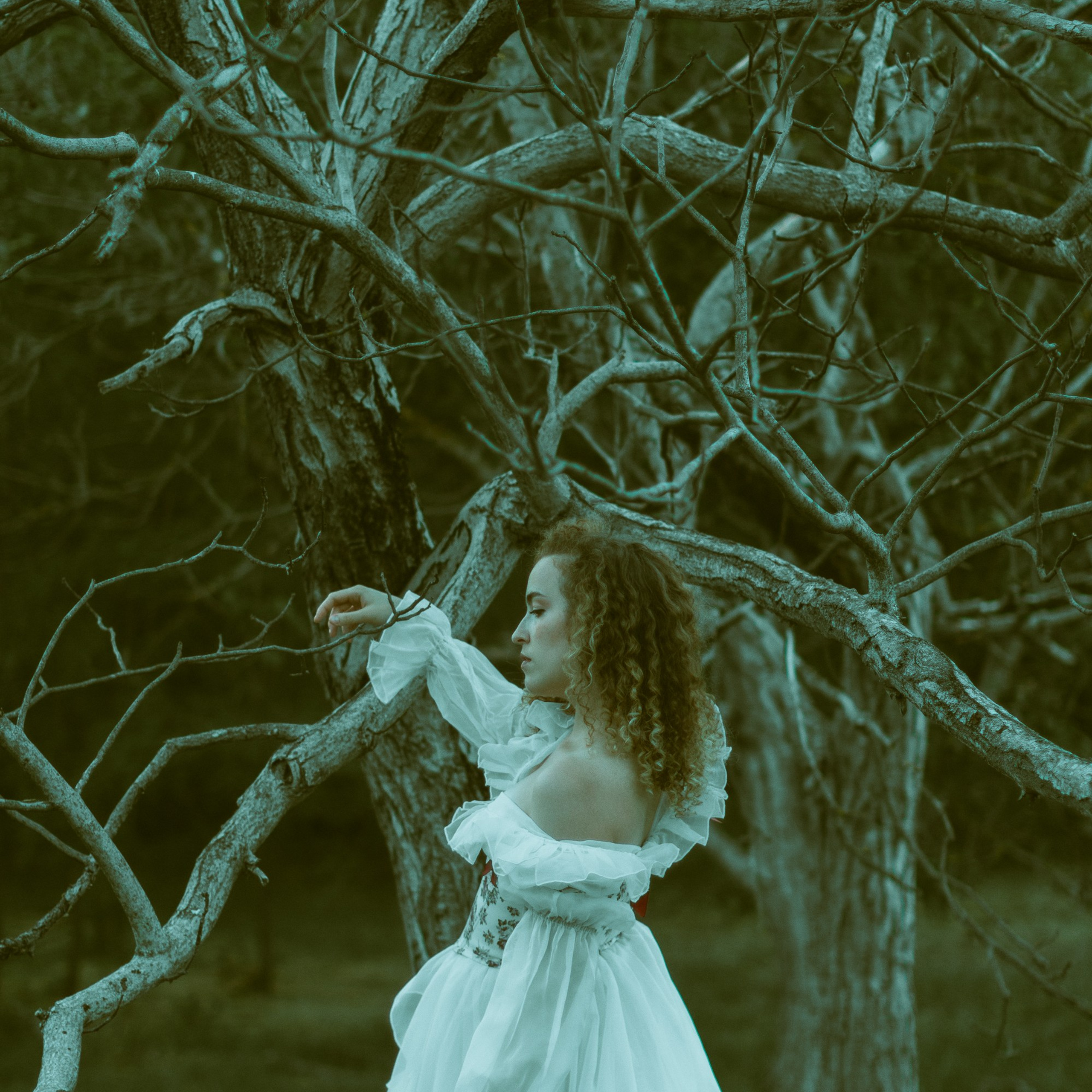 Волшебный лес. Фотограф твоей души, снимаю в Крыму и не только