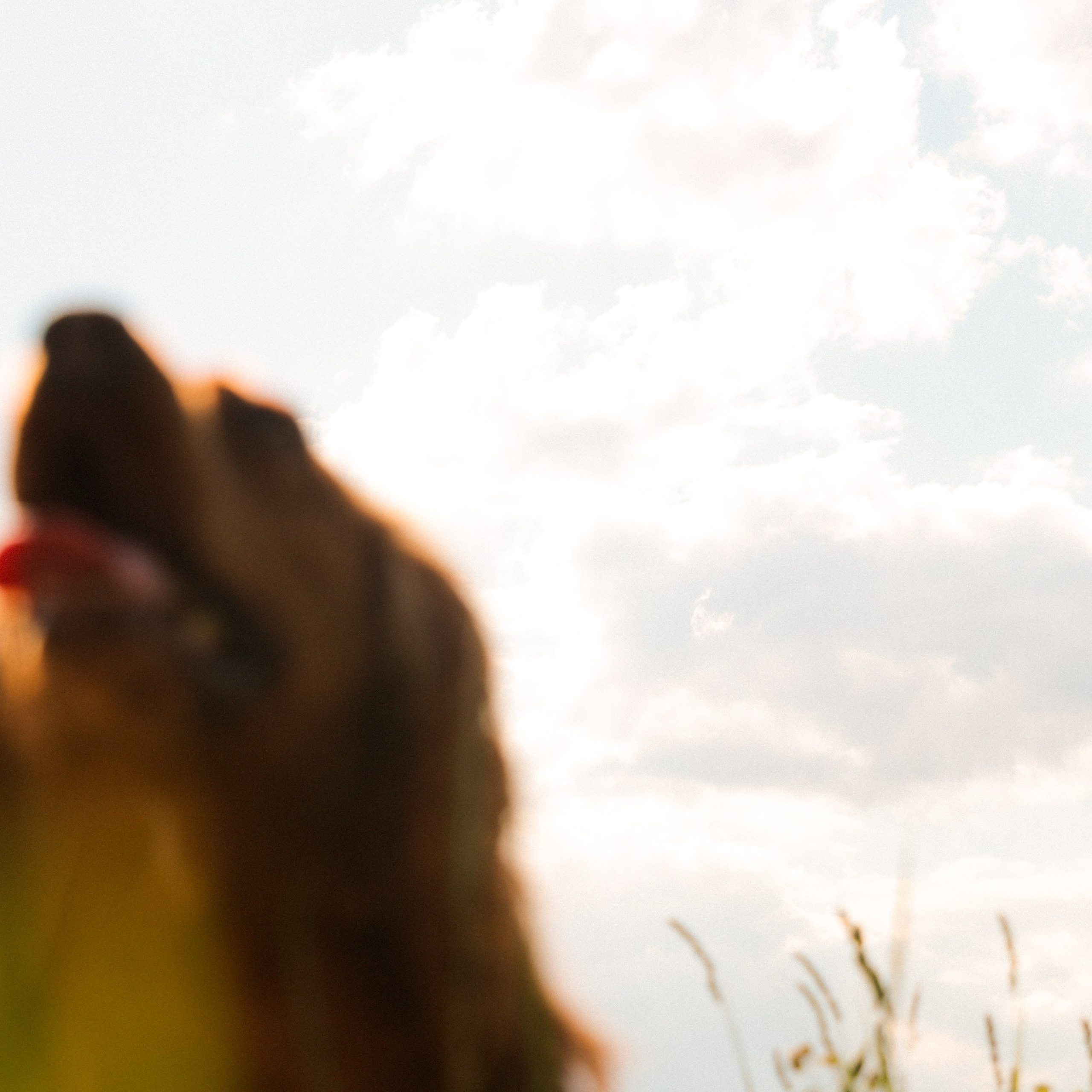 Аня, Черри и ромашки. Фотограф твоей души, снимаю в Крыму и не только