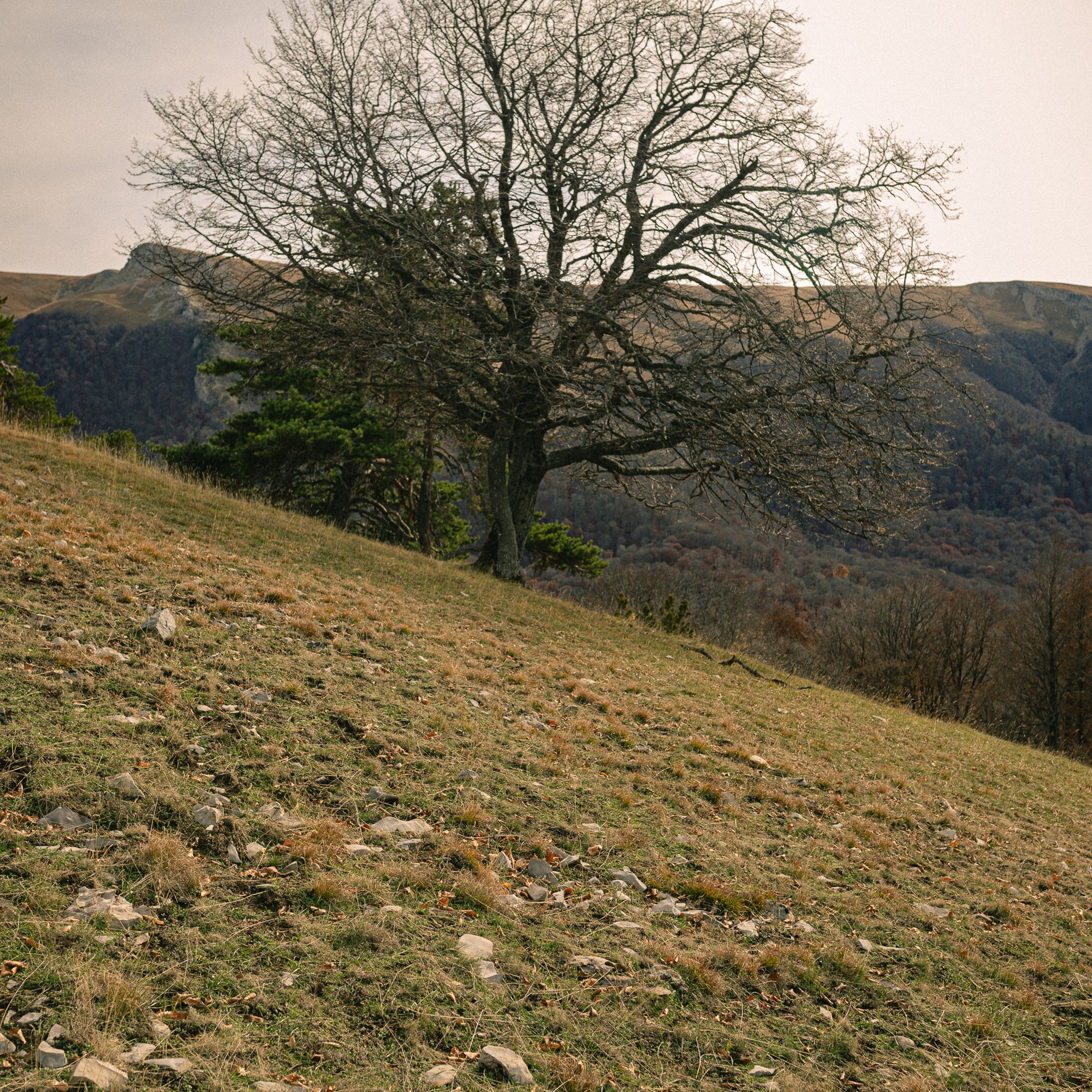 Для печати. Фотограф твоей души, снимаю в Крыму и не только