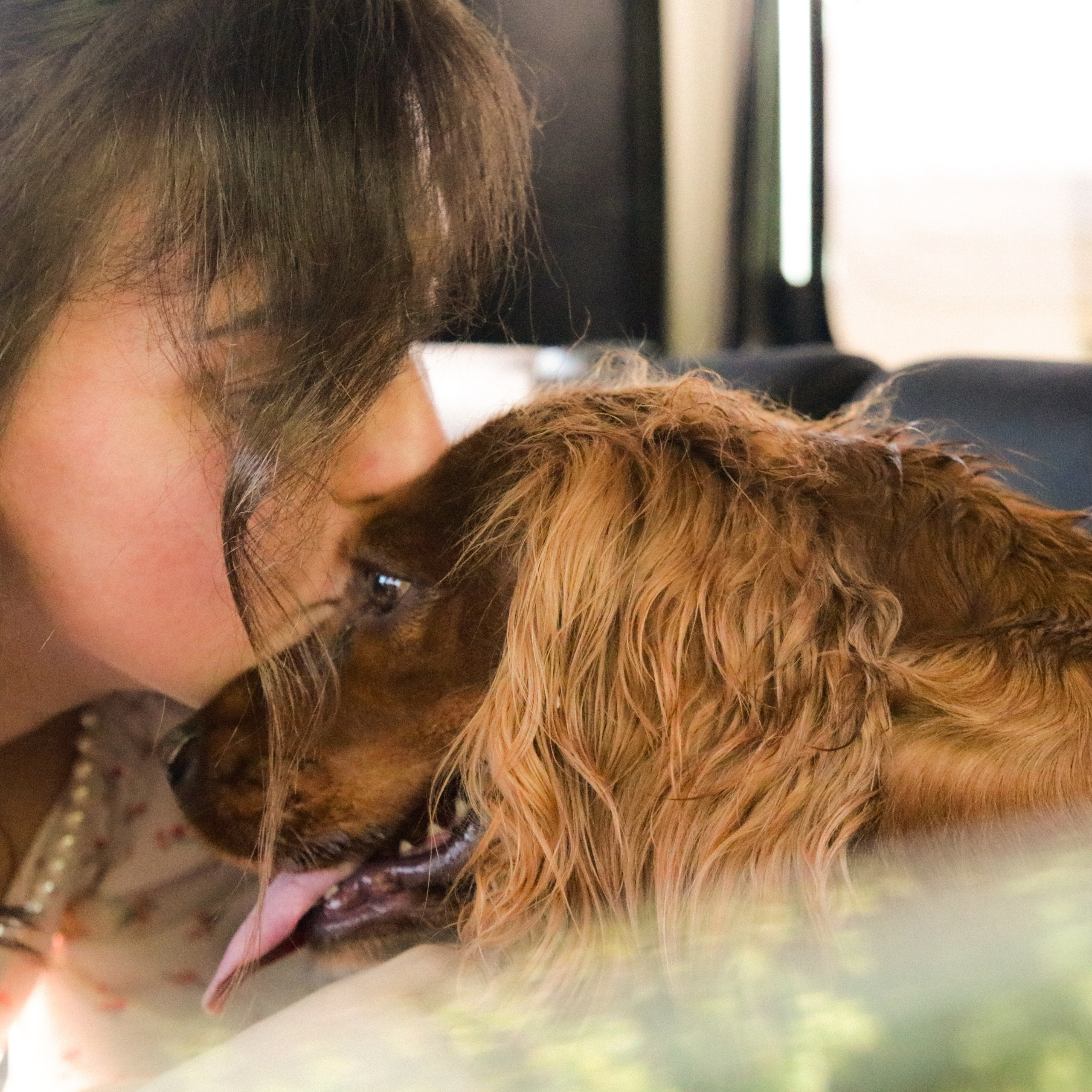 Аня, Черри и ромашки. Фотограф твоей души, снимаю в Крыму и не только