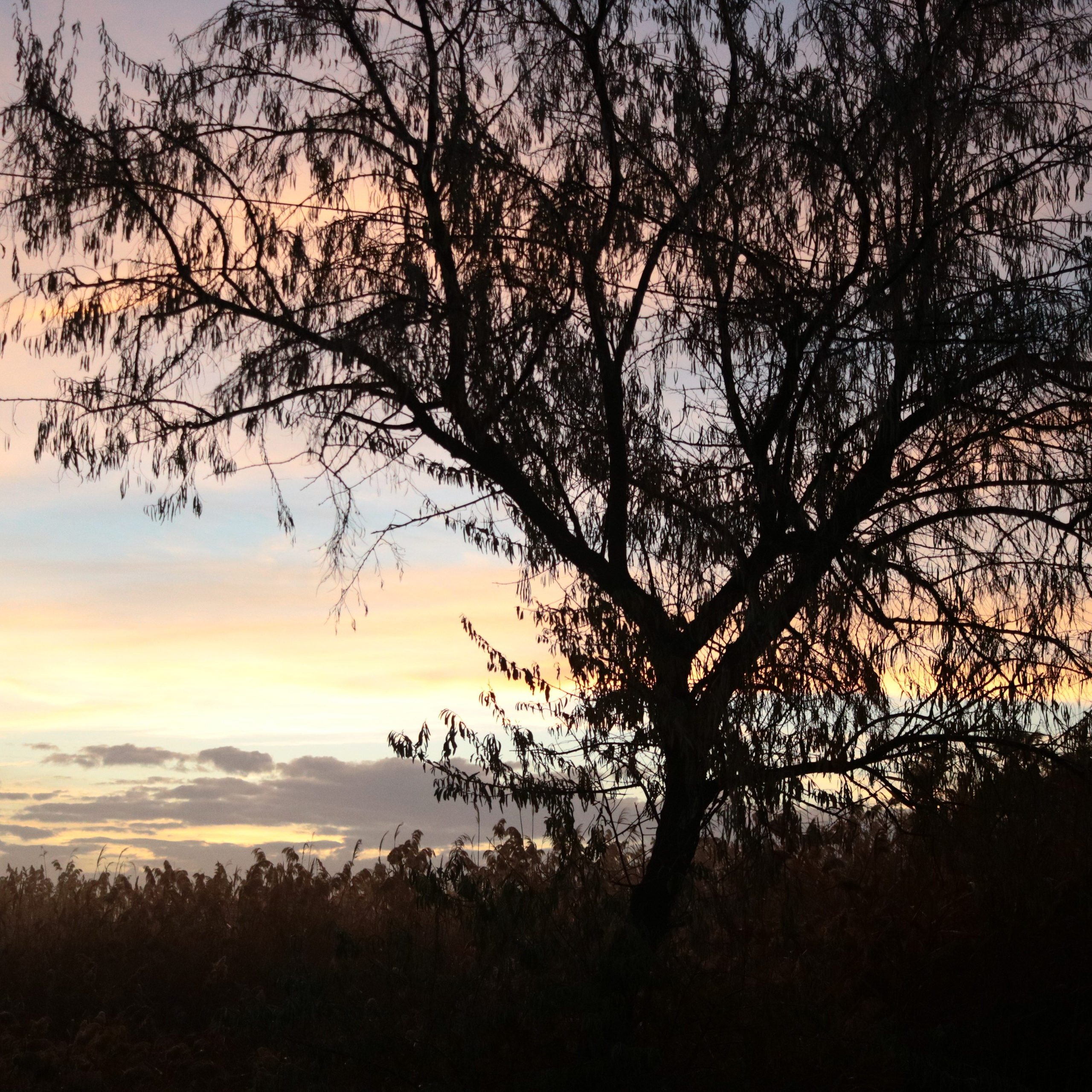 Для печати. Фотограф твоей души, снимаю в Крыму и не только