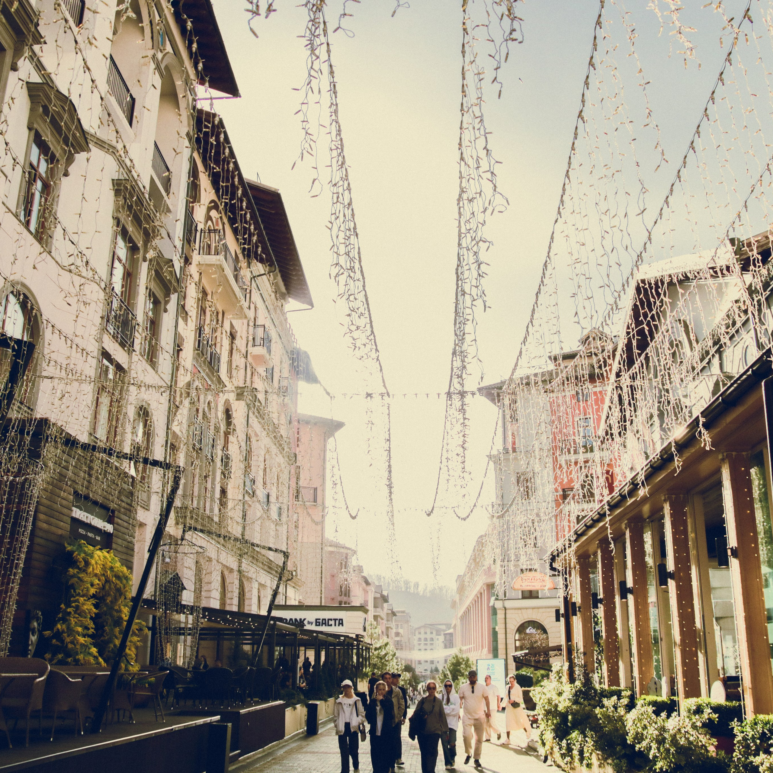 поляна Роза Сочи 24