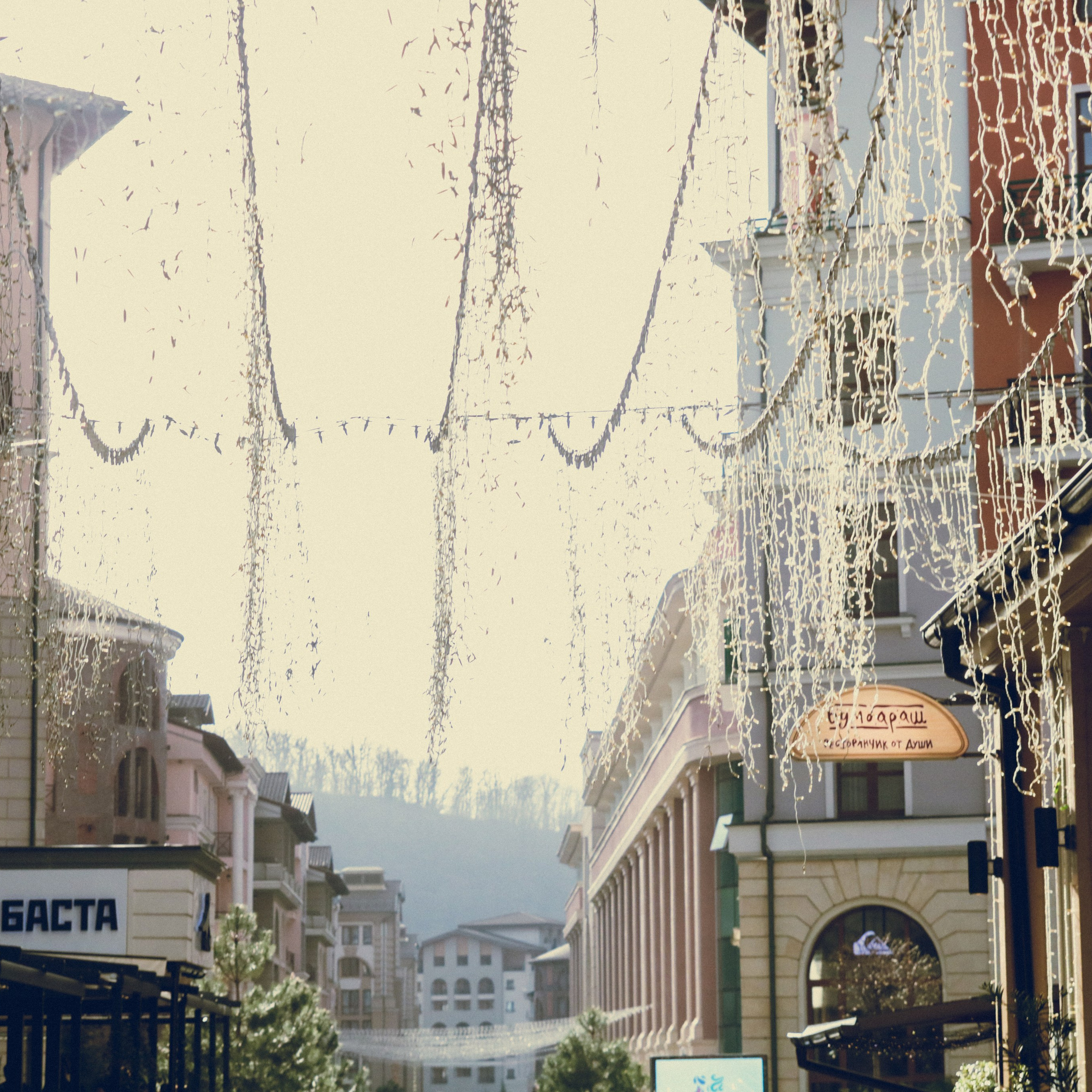 Поляна Роза Сочи 24. Фотография, которая говорит о тебе