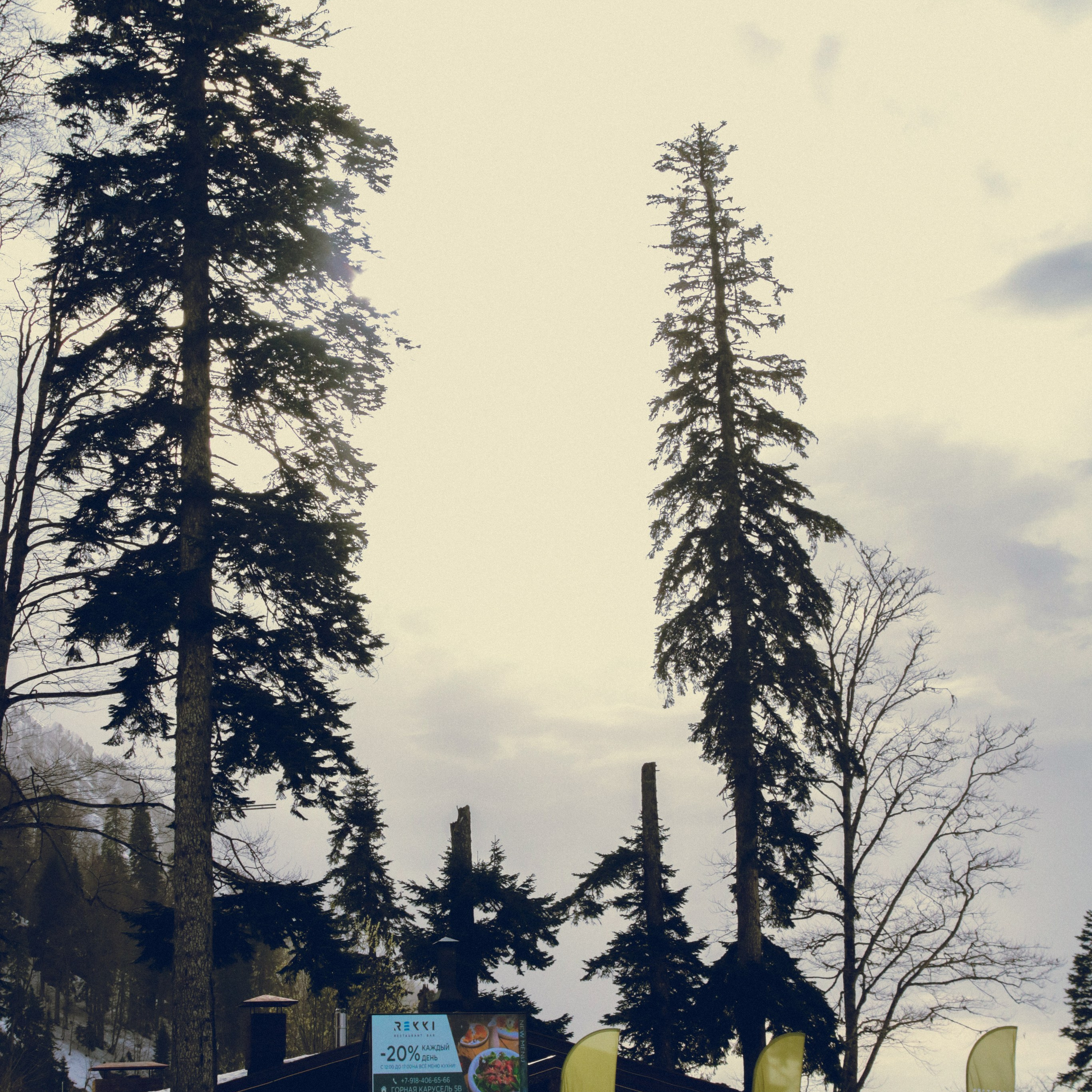 Поляна Роза Сочи 24. Фотография, которая говорит о тебе