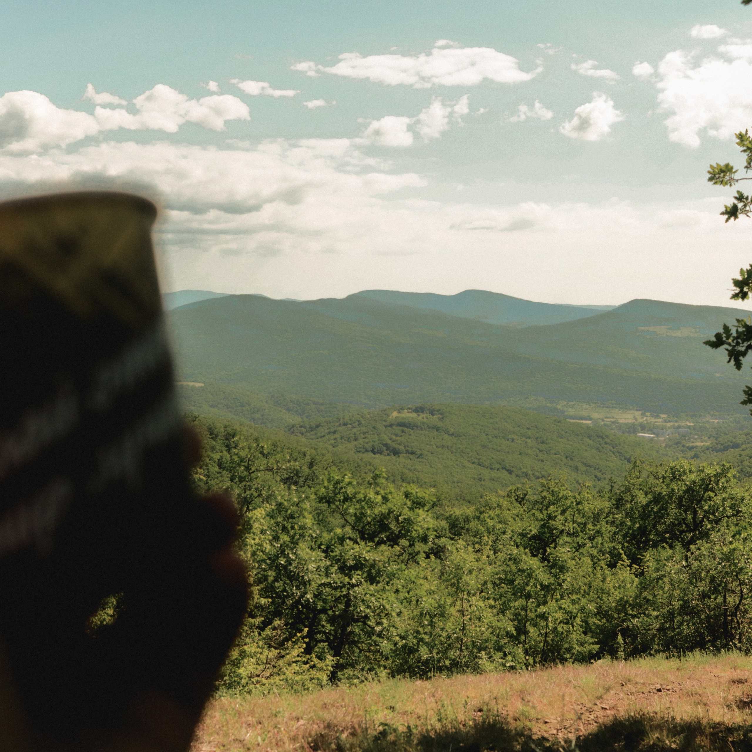 Прогулка день Земли 24. Фотография, которая говорит о тебе