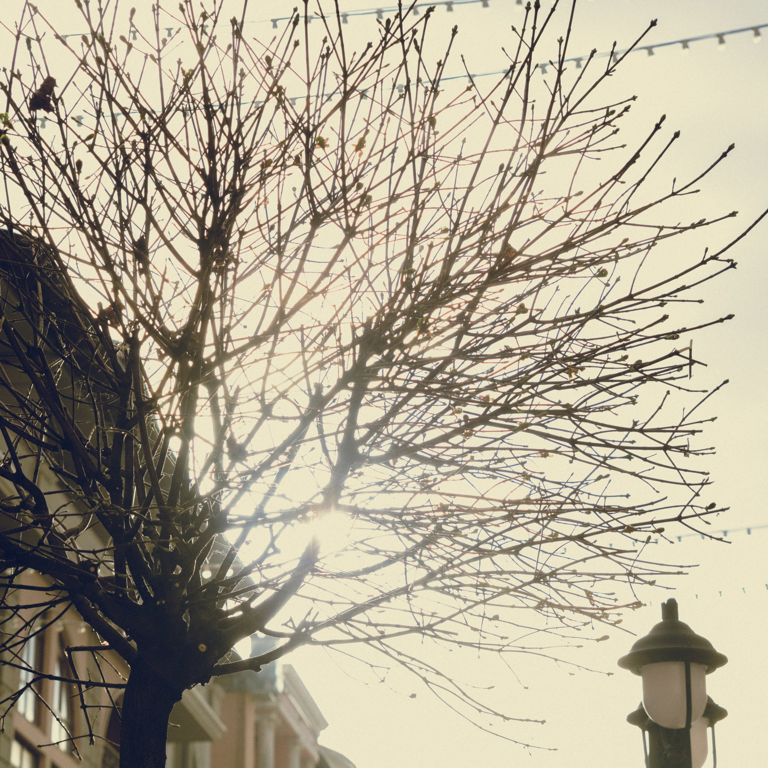 Поляна Роза Сочи 24. Фотография, которая говорит о тебе