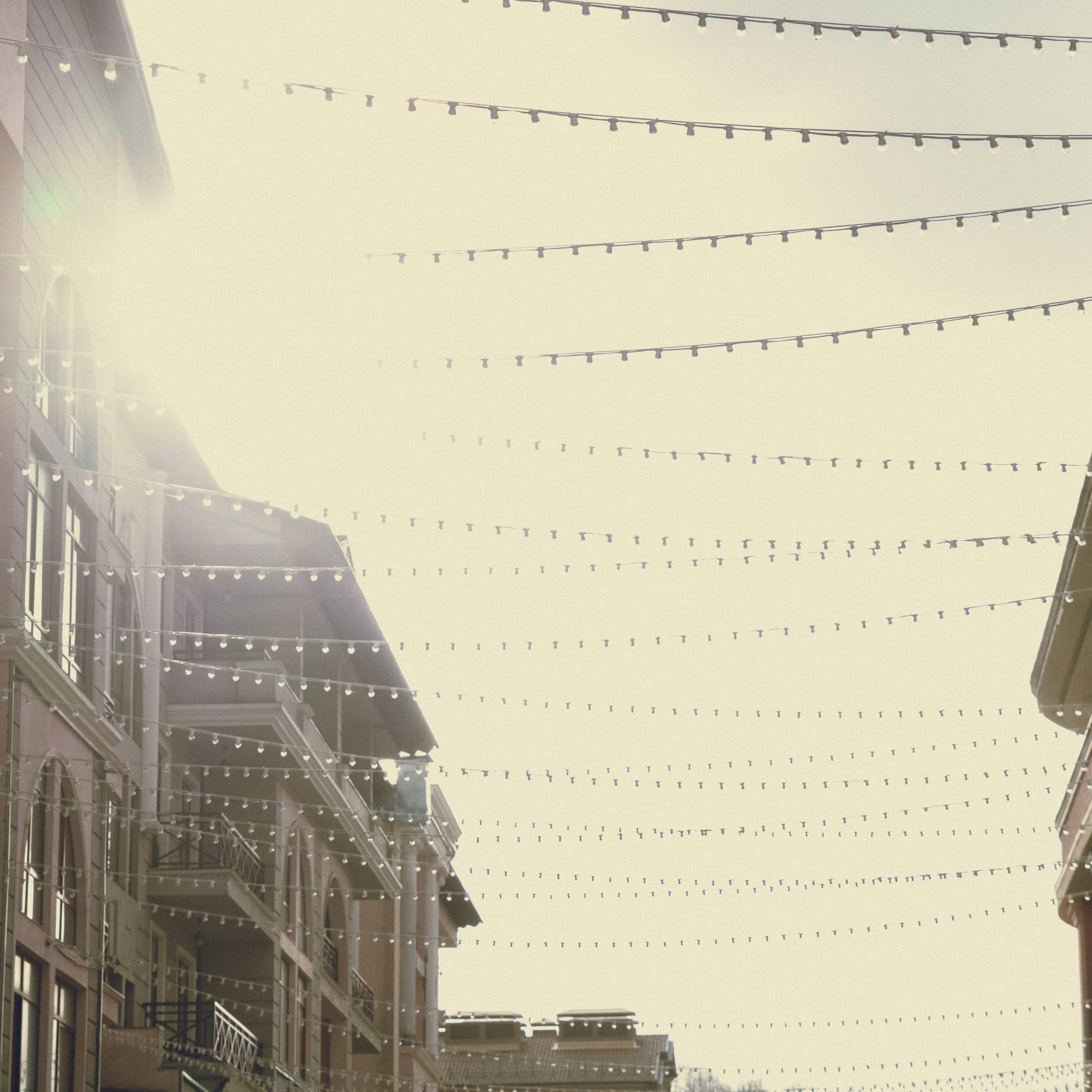 Поляна Роза Сочи 24. Фотография, которая говорит о тебе